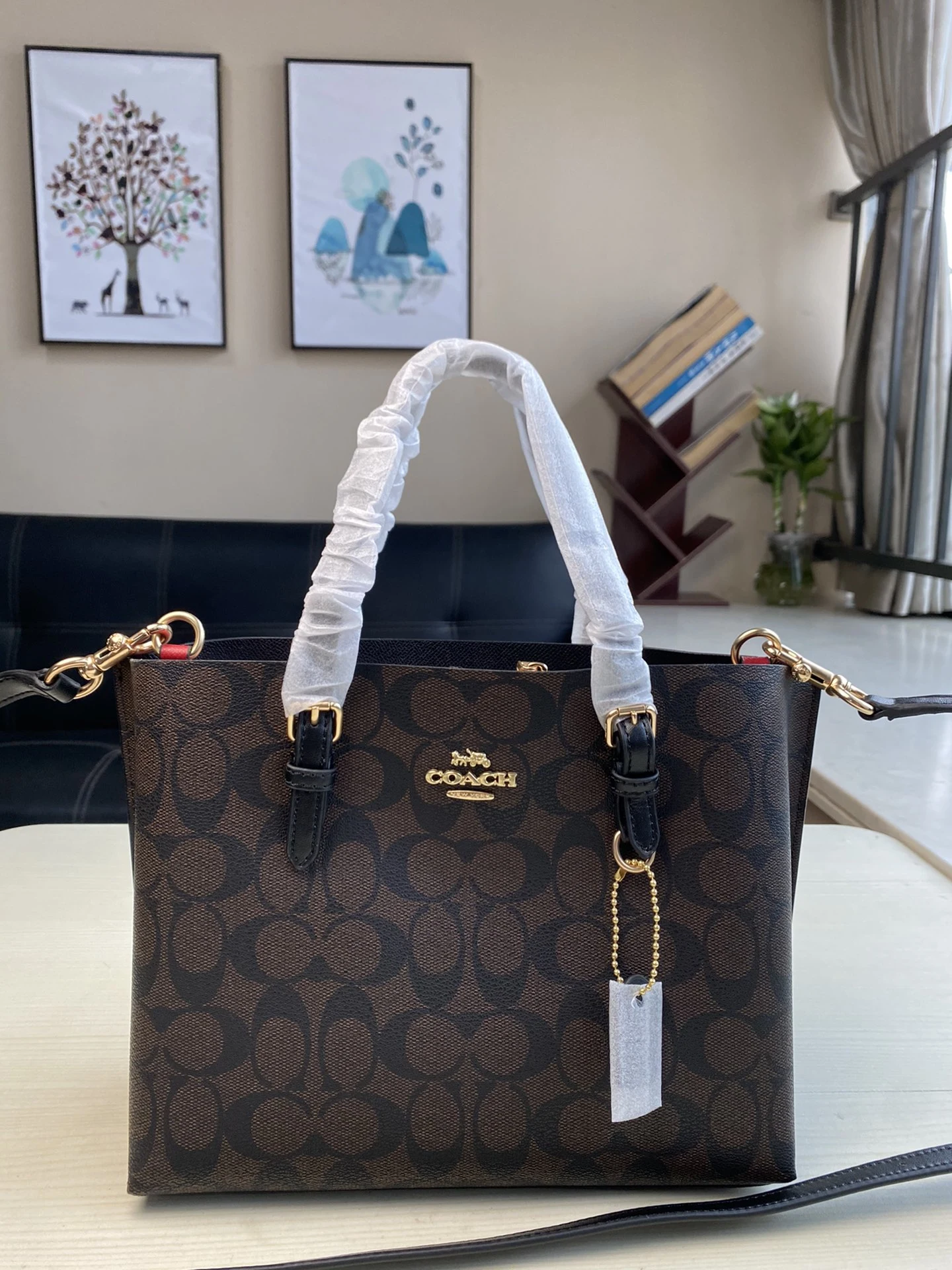 Coach Bag — 200226eb