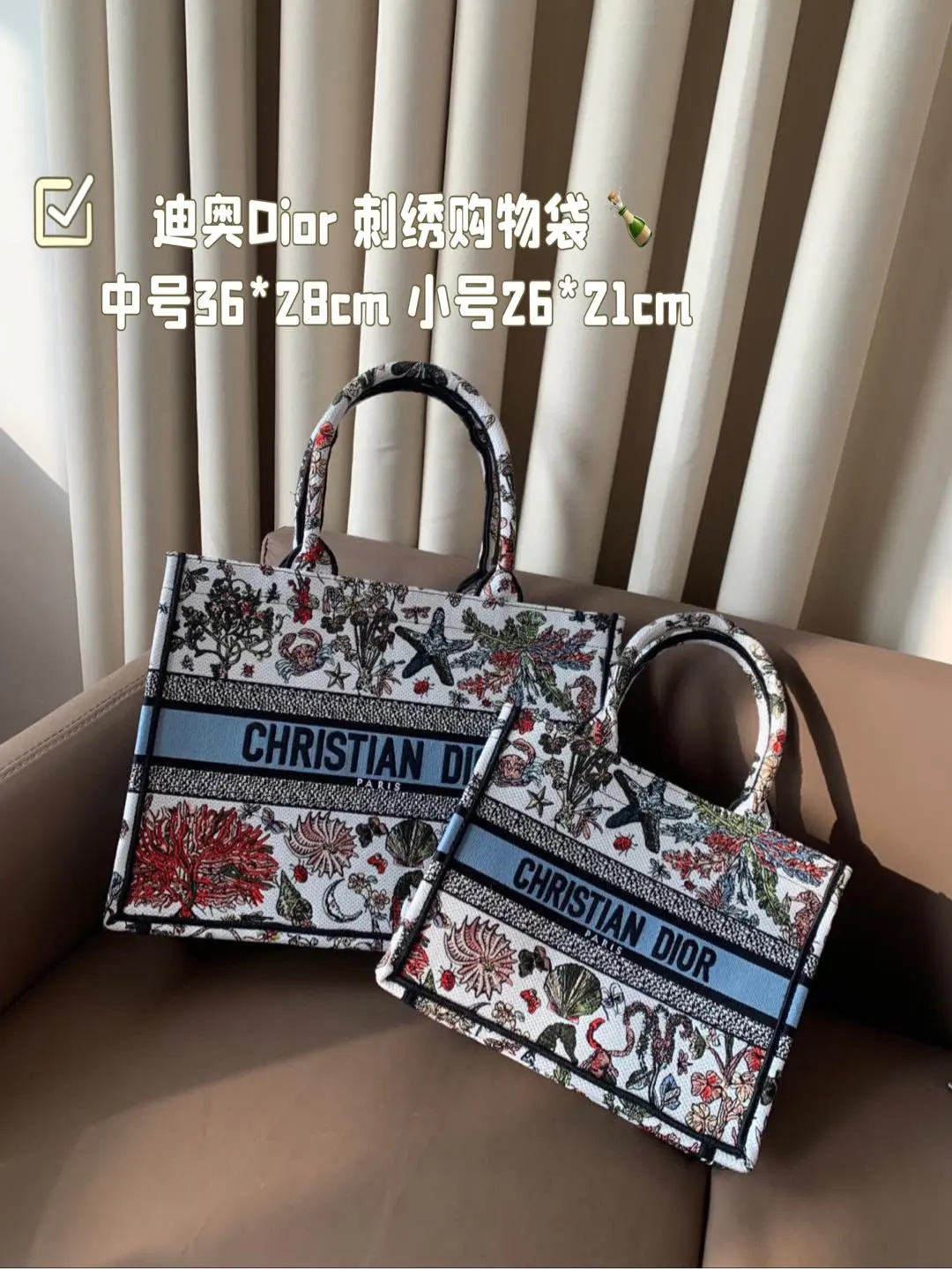 Dior Bag — e1470c21