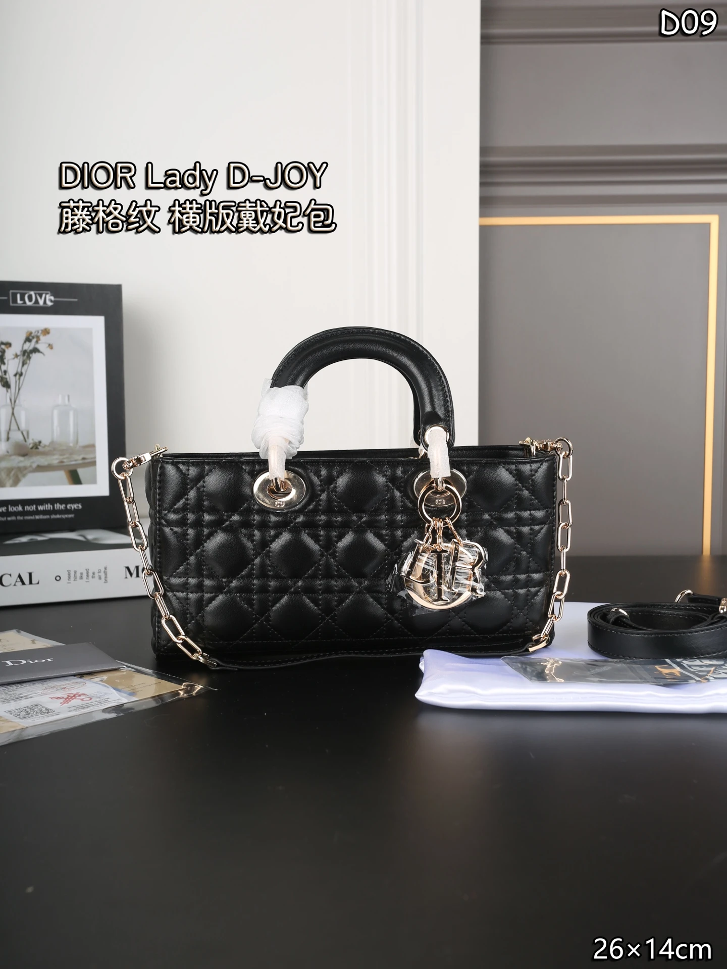 Dior Bag — ef9053a8