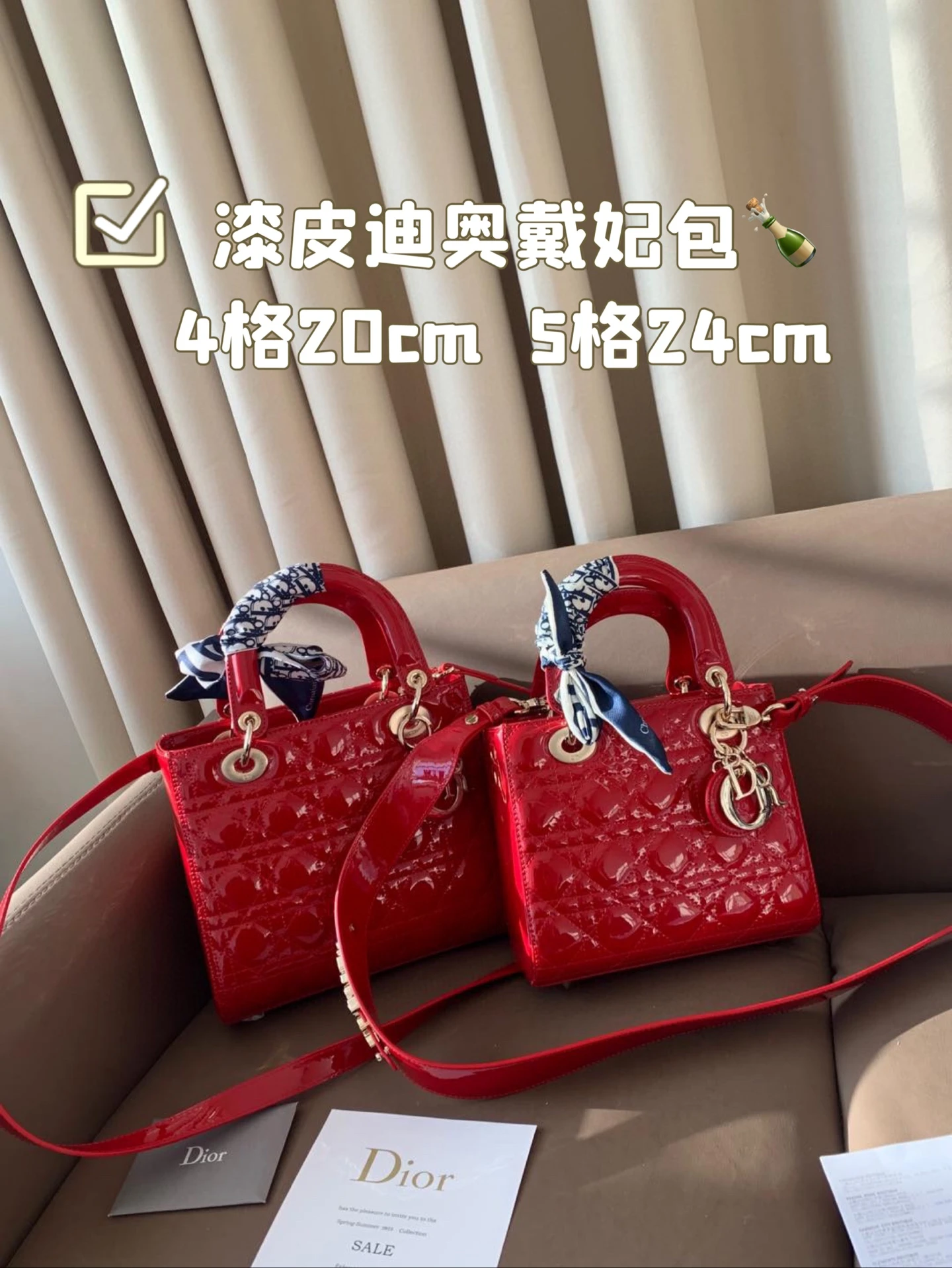 Dior Bag — 1496a37b