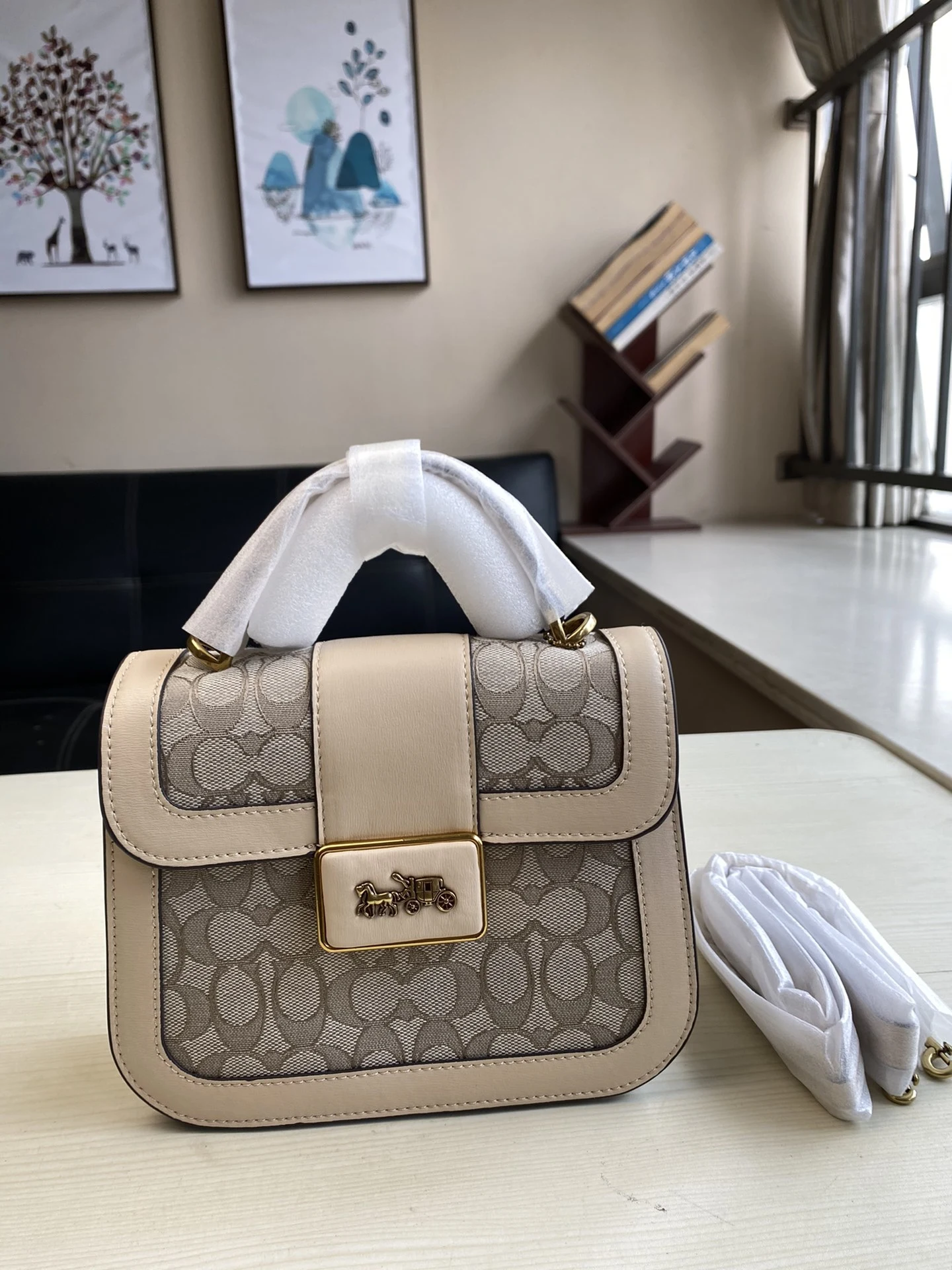 Coach Bag — 307c4b12