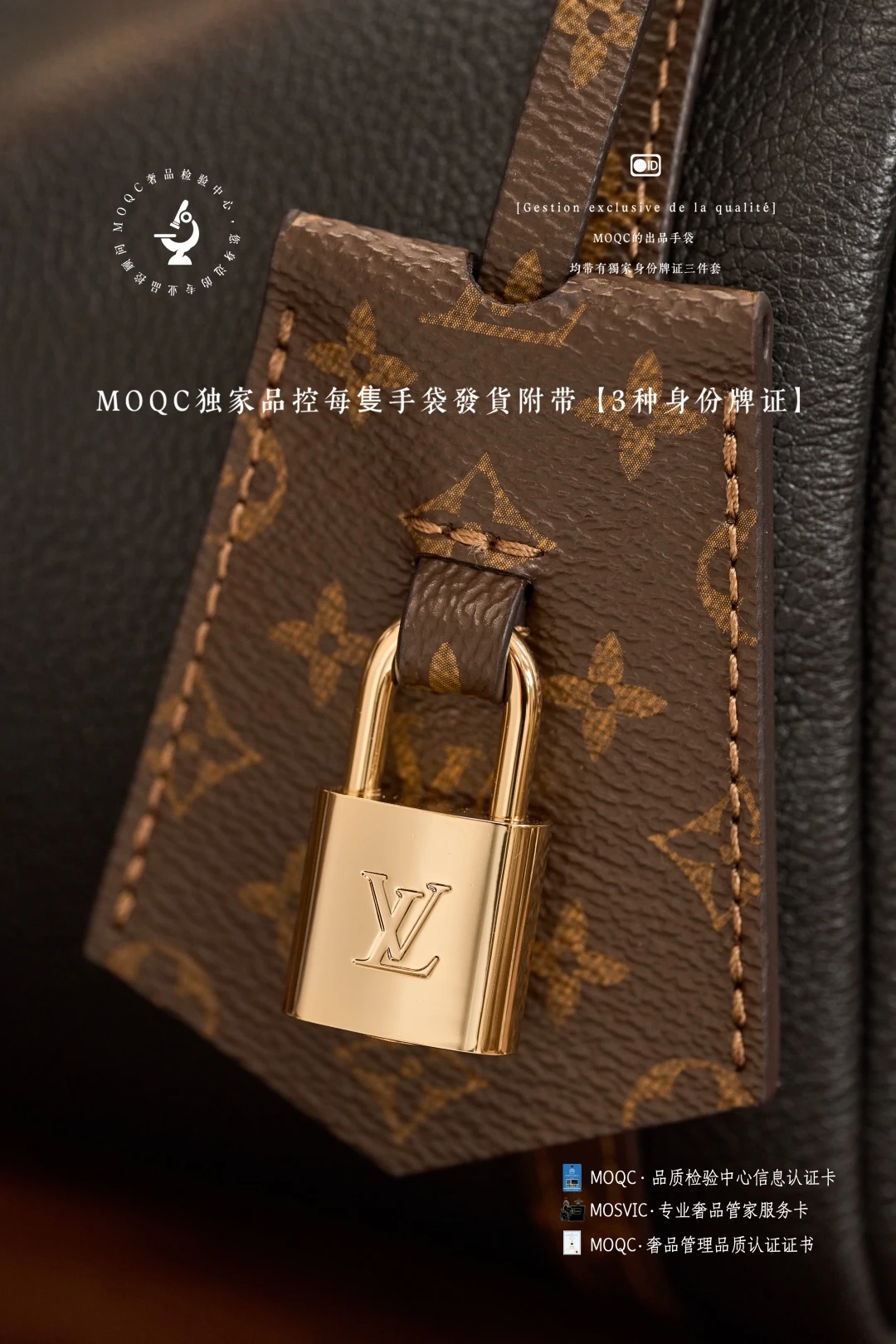 Louis Vuitton Bag — 5e4018aa