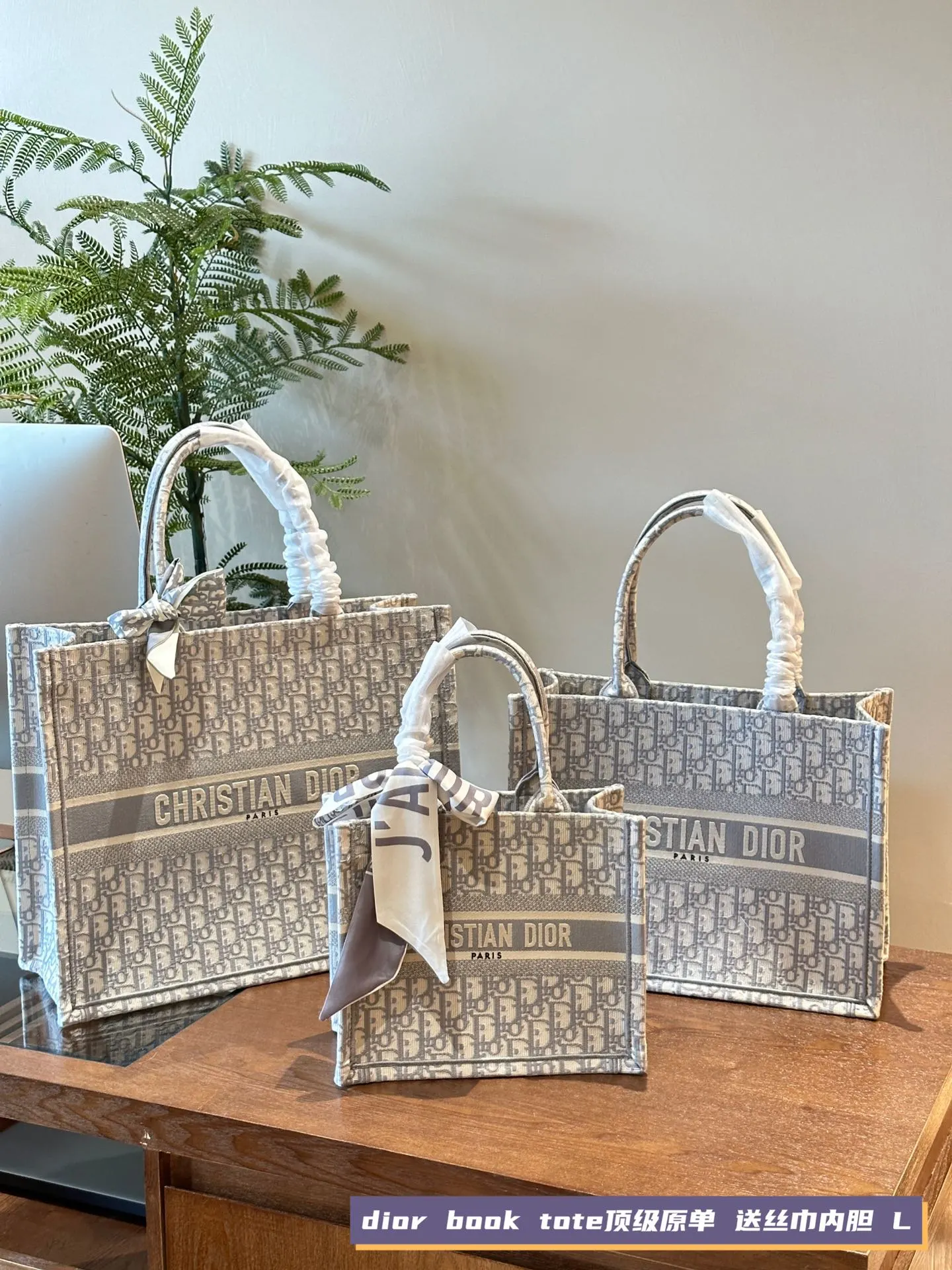 Dior Bag — 84e61046