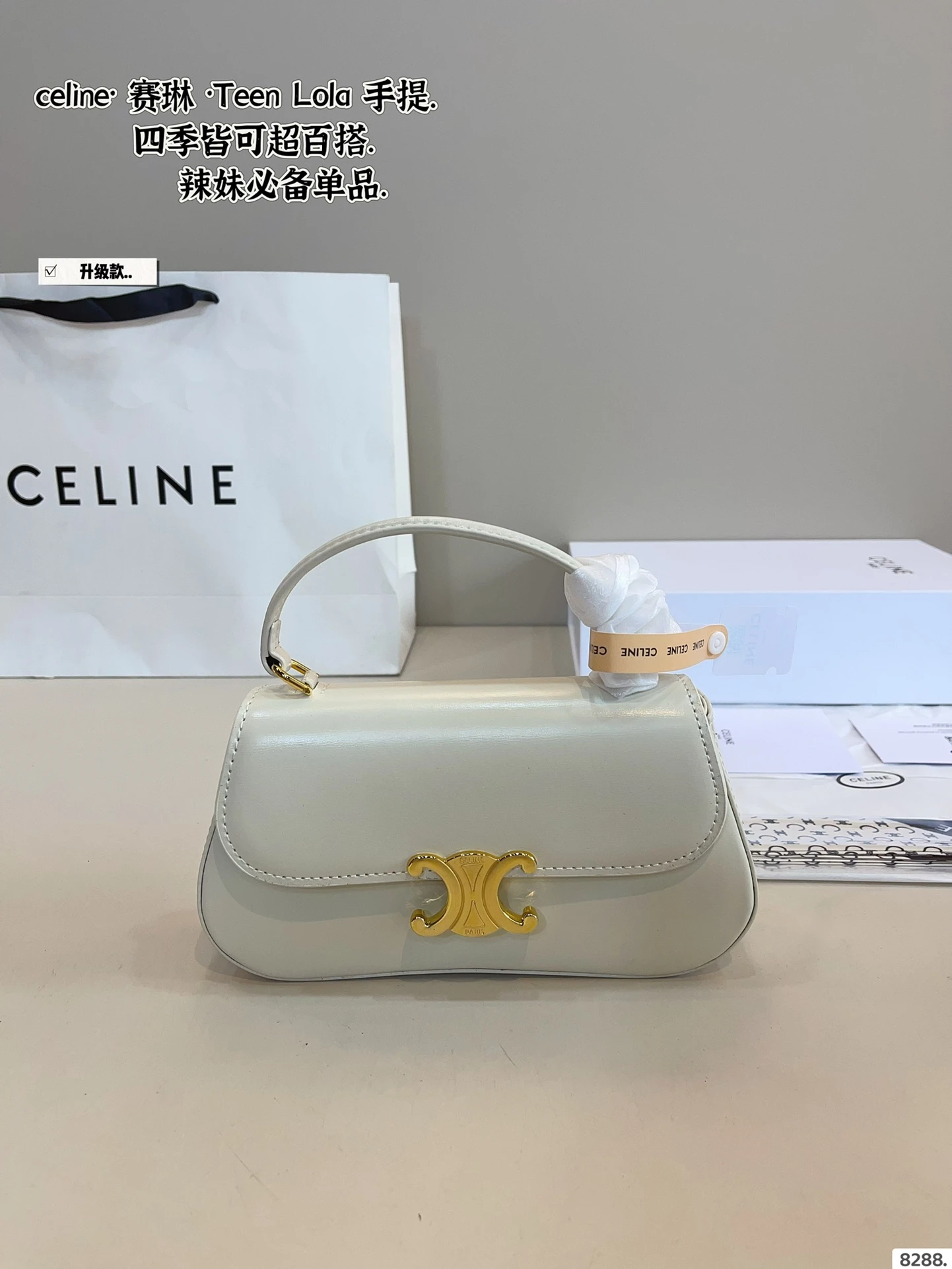 Celine Bag — 87ca1220