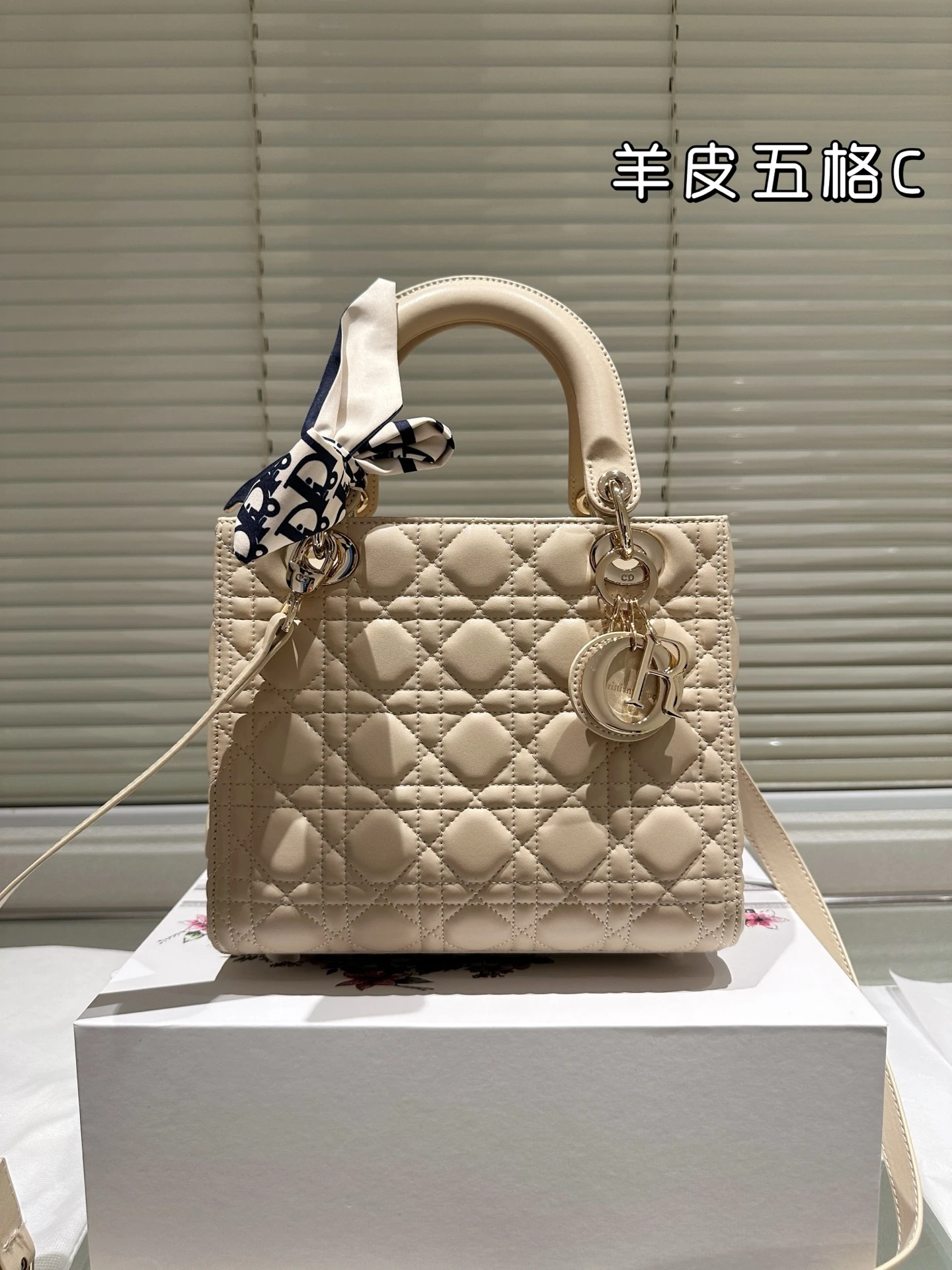 Dior Bag — 05f1457f
