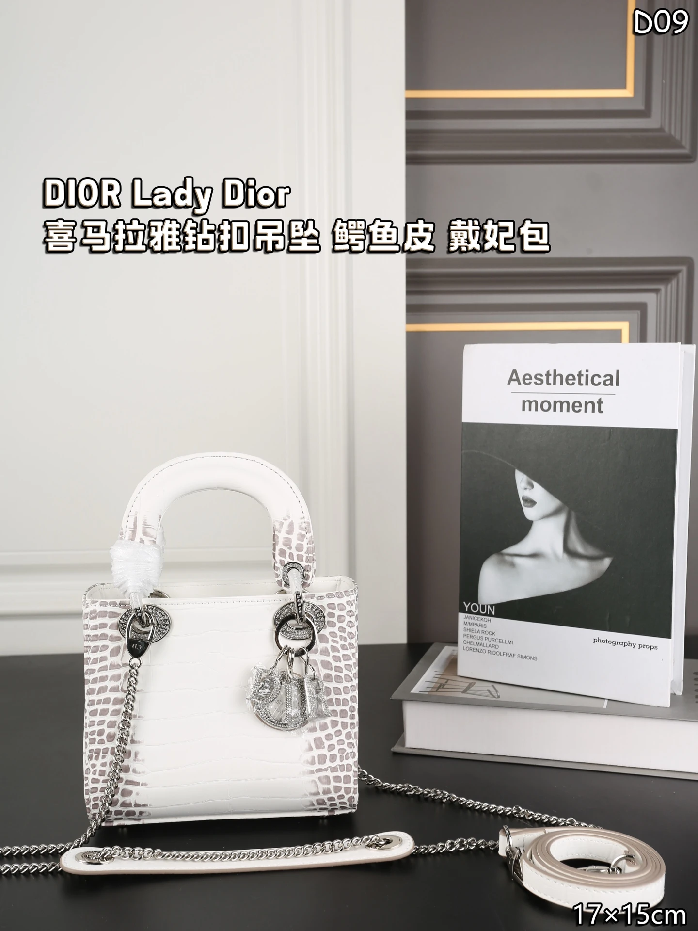 Dior Bag — 532db2bc