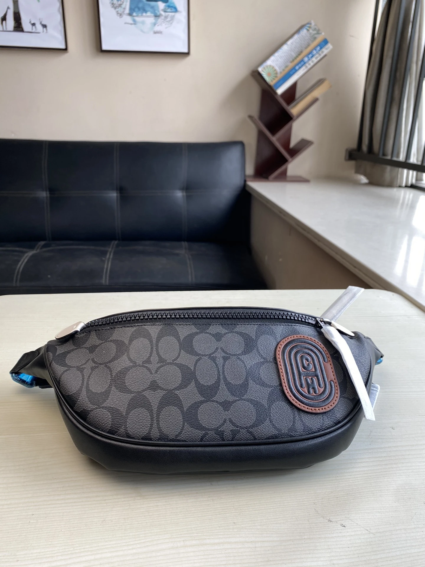 Coach Bag — 00542cd4