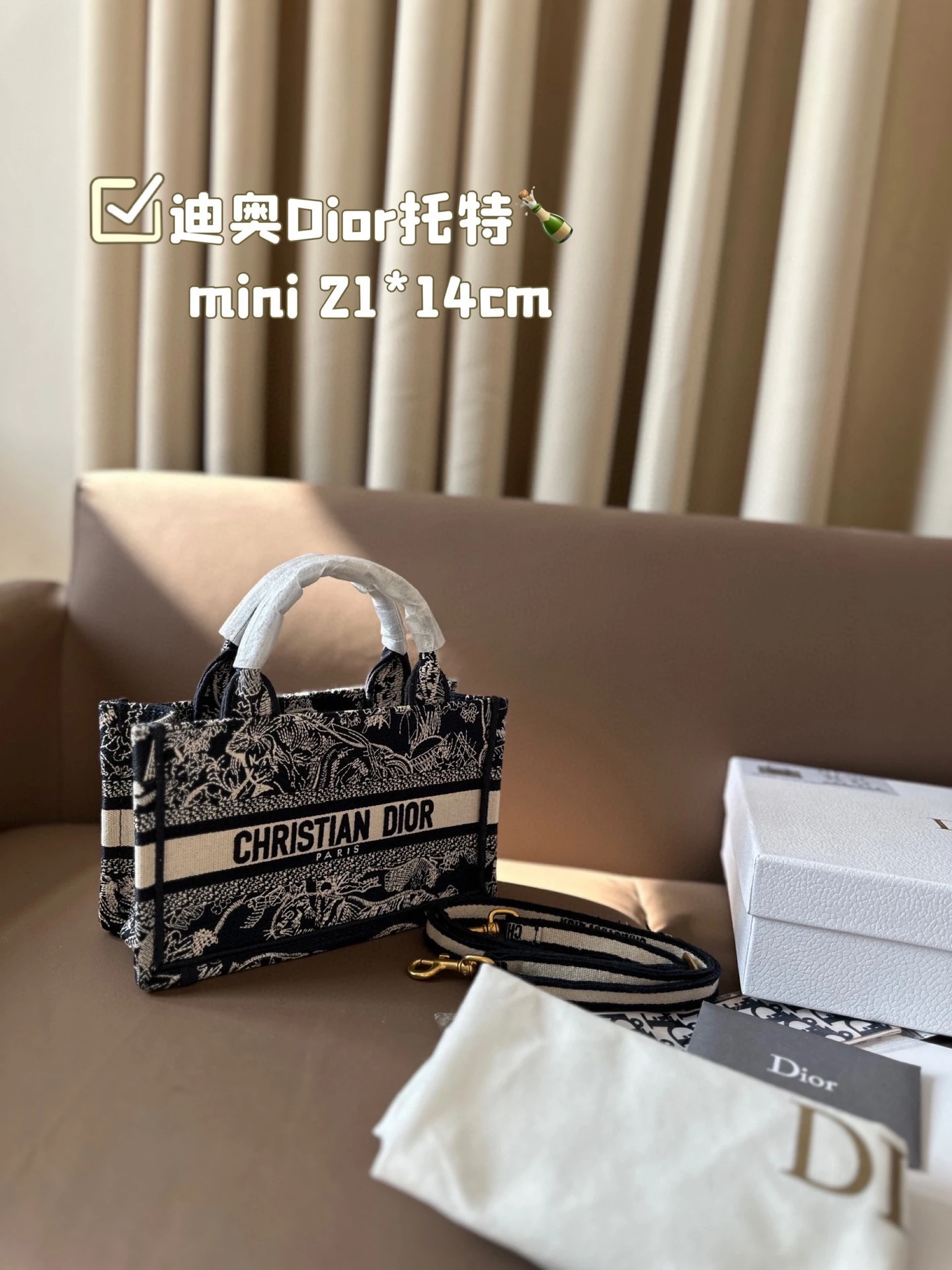 Dior Bag — 52647ee1