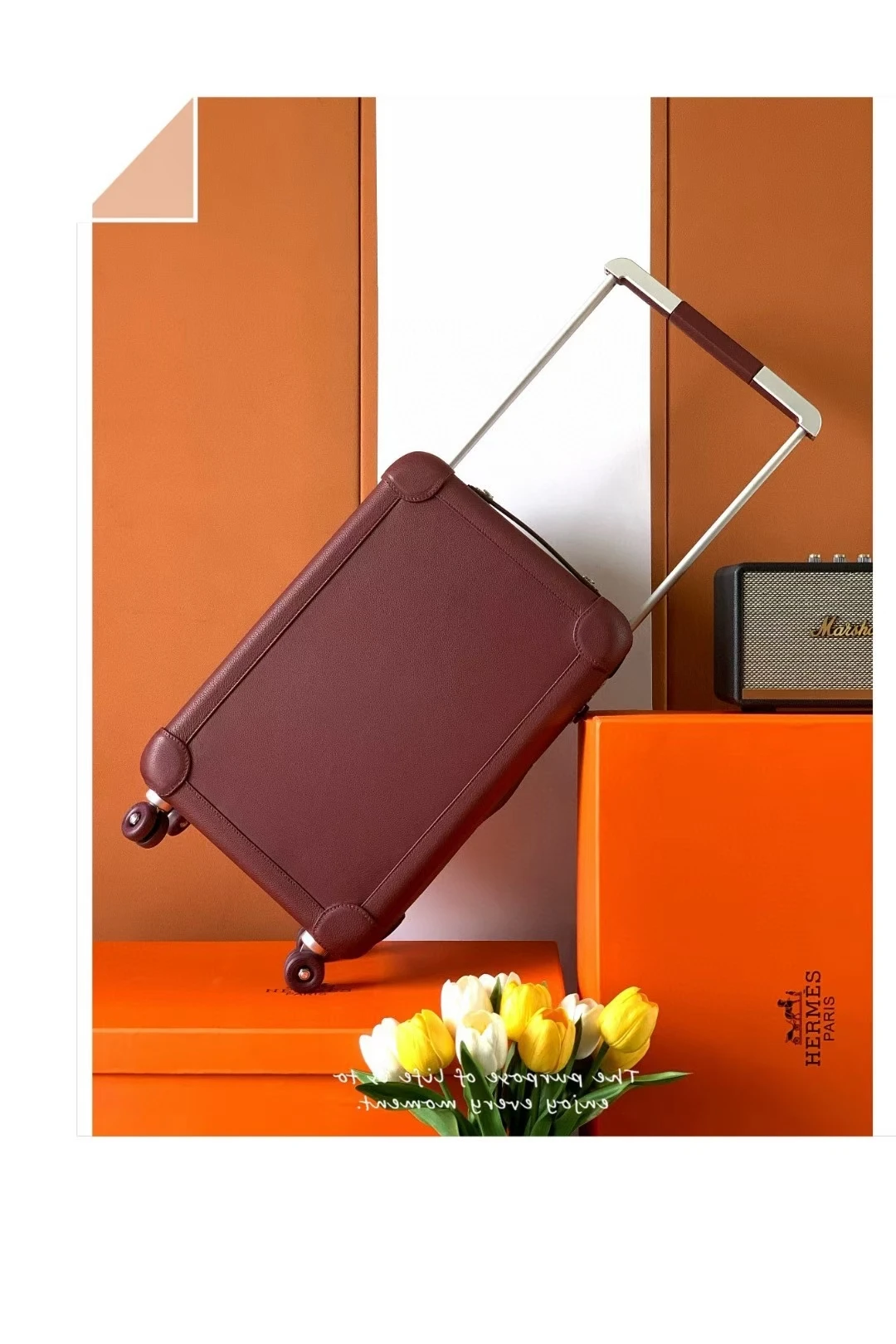 Luggage — 879a3172
