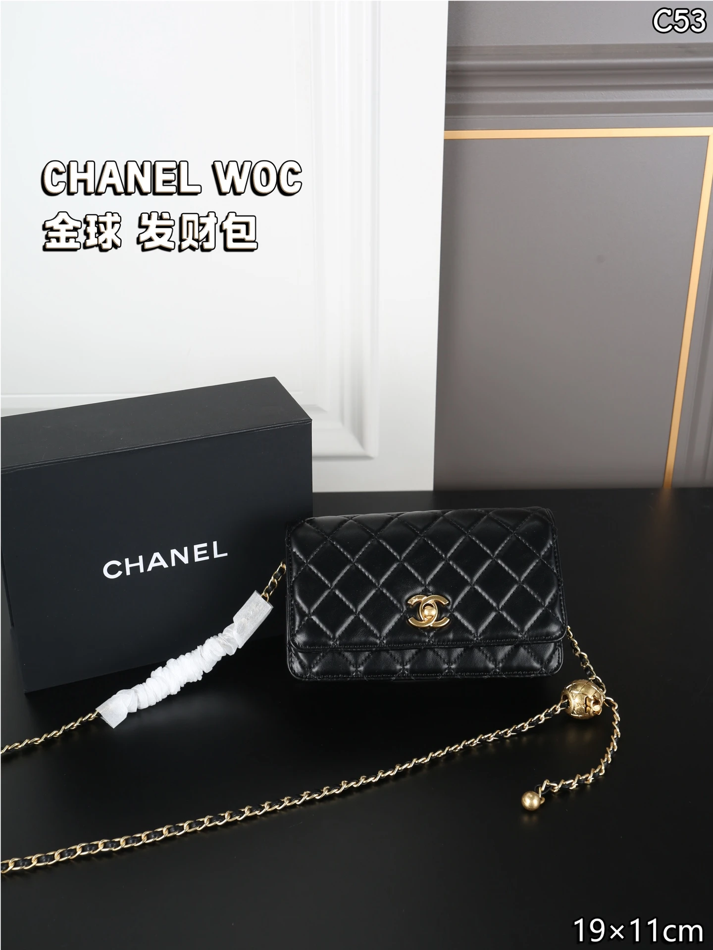 Chanel Bag — 747948b8