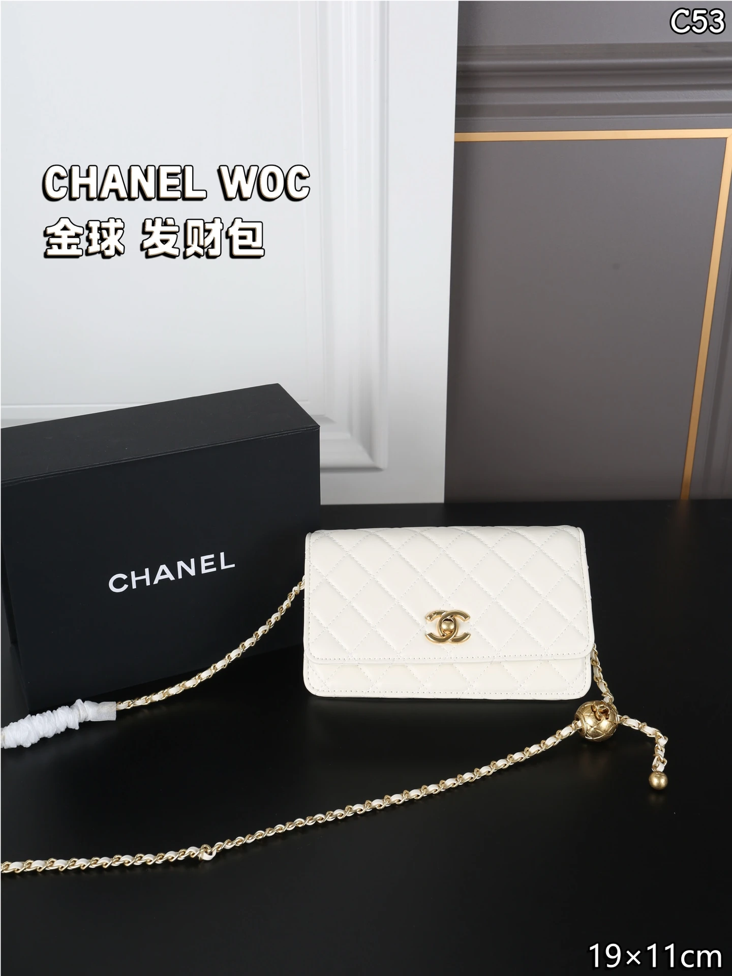Chanel Bag — 9ba10c97