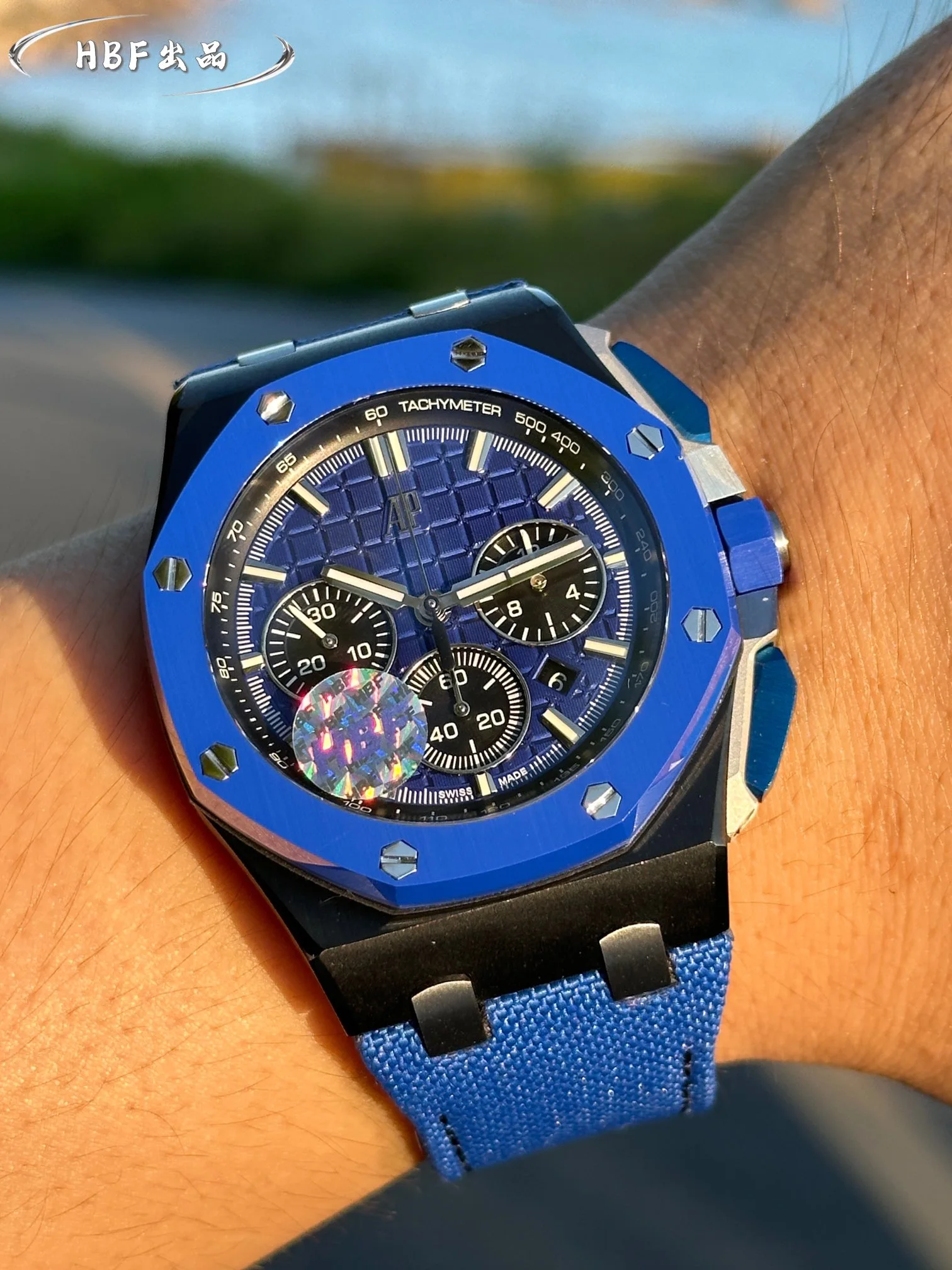 Audemars Piguet Watch — 694df9d2