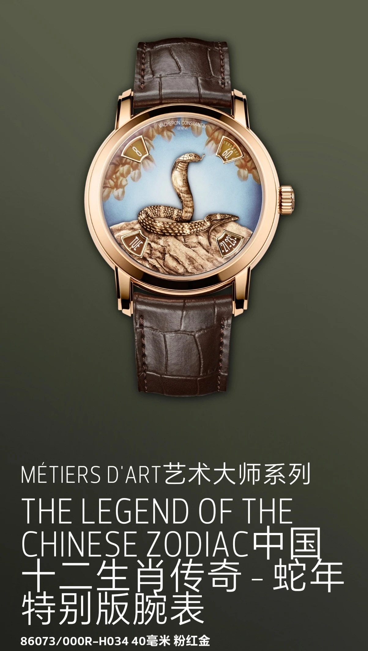 Vacheron Constantin Watch — 11300b76