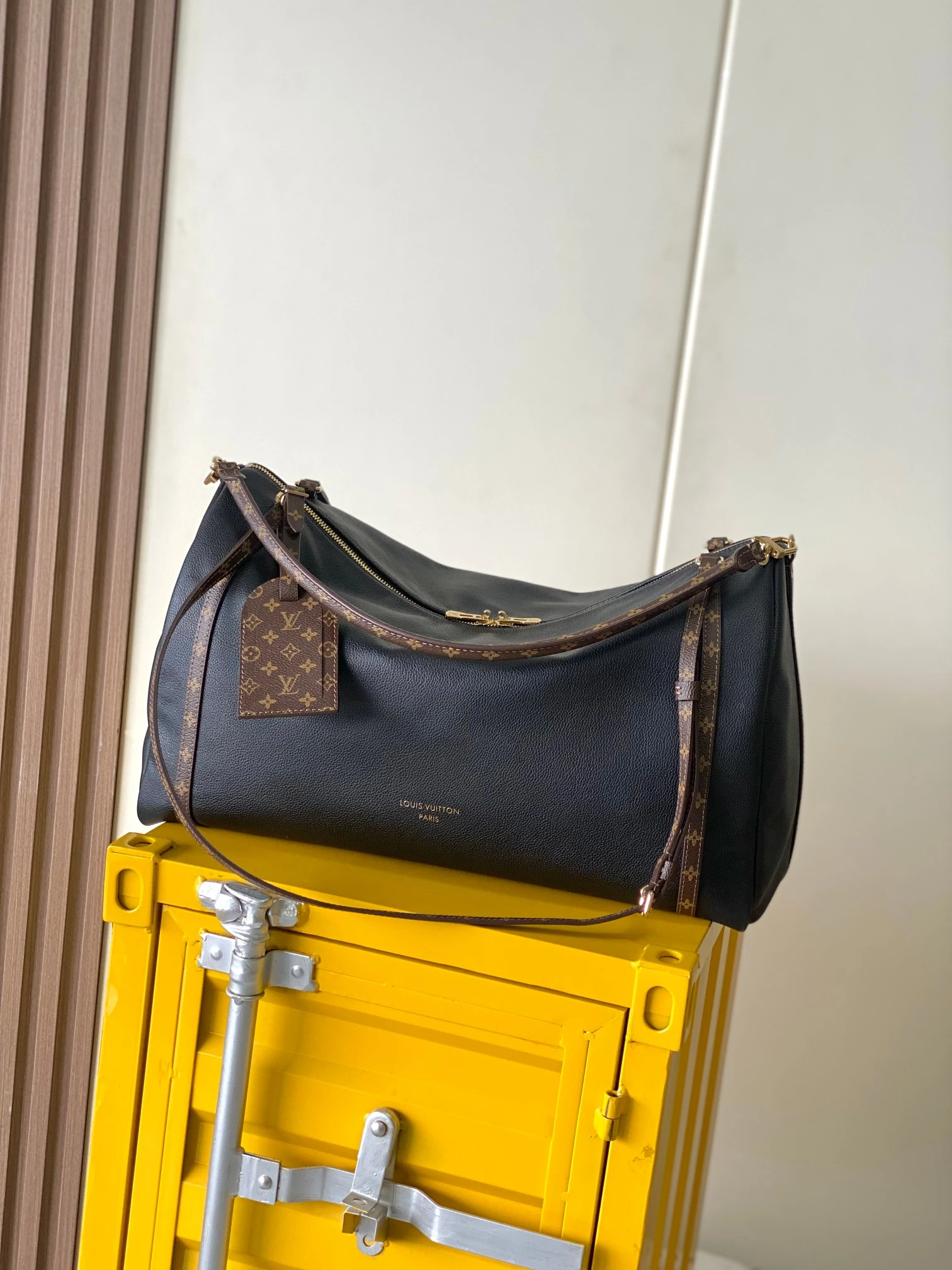 Louis Vuitton Bag — 496d9cfb