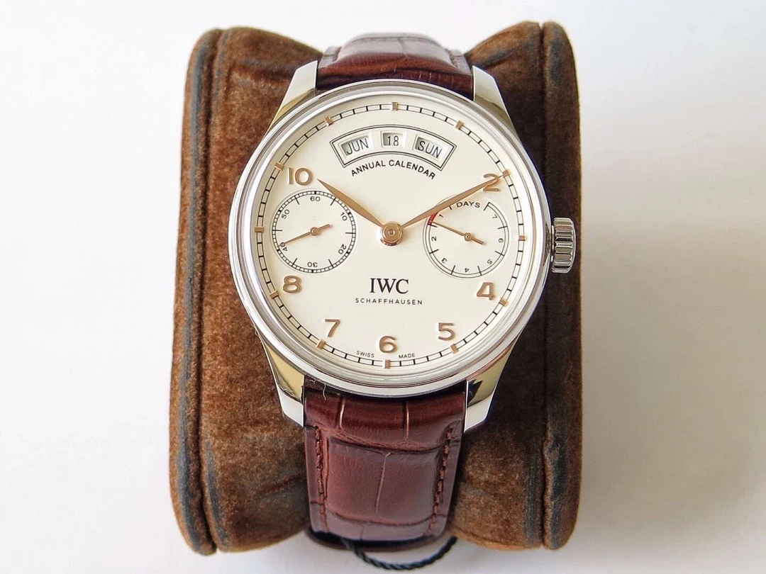IWC Watch — e8cd604e