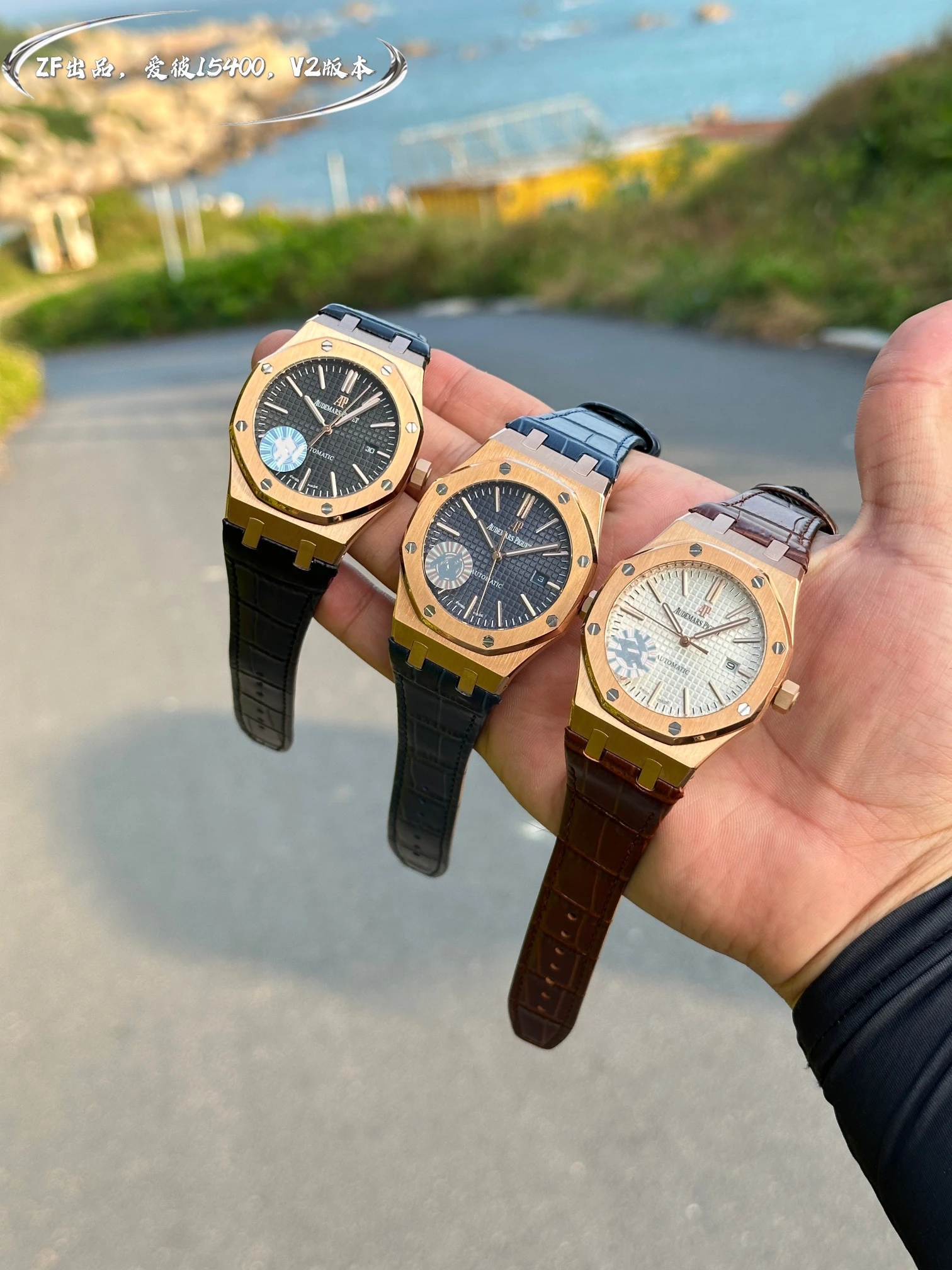 Audemars Piguet Watch — 2a117df7