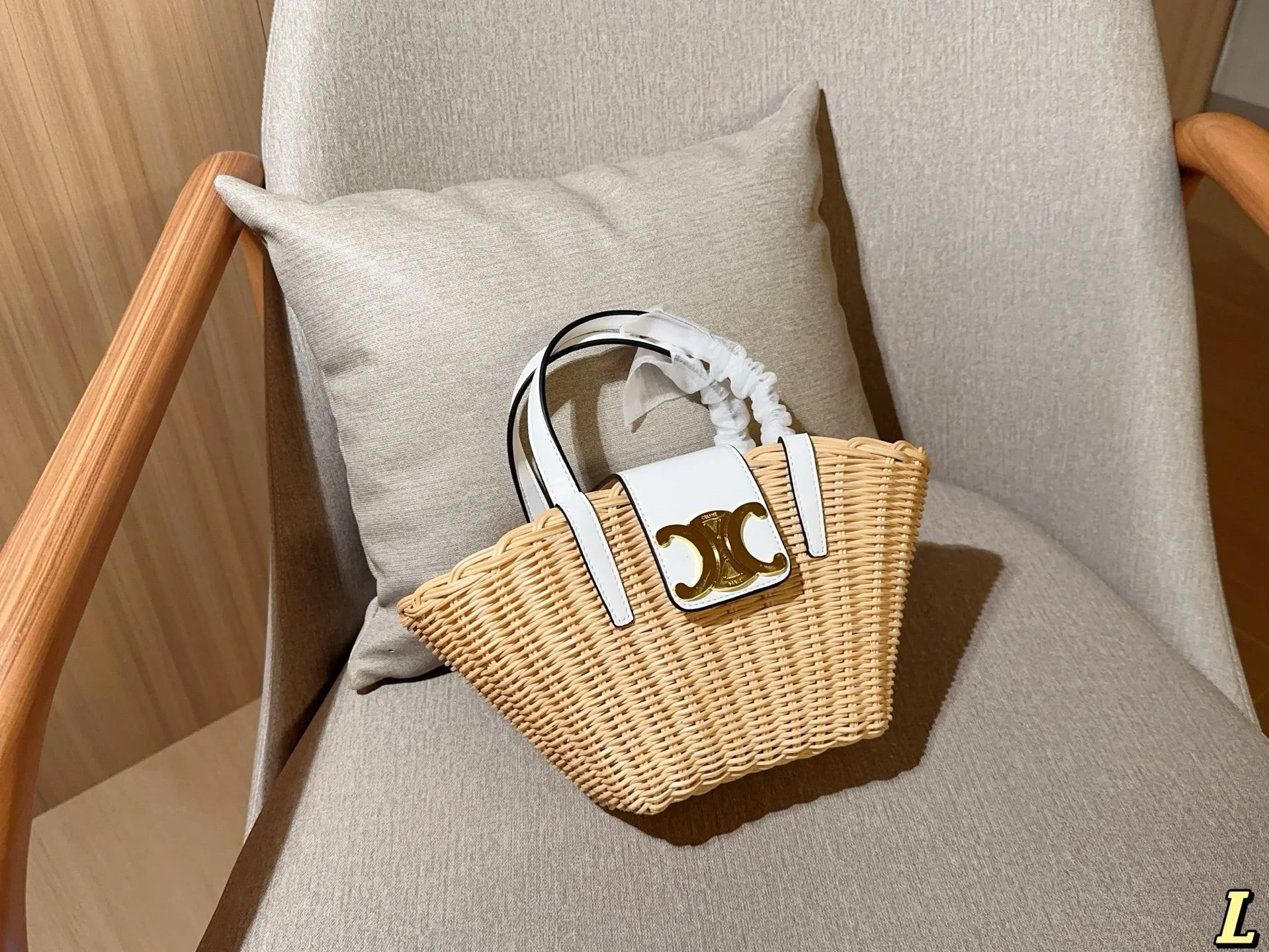 Celine Bag — 288e2484