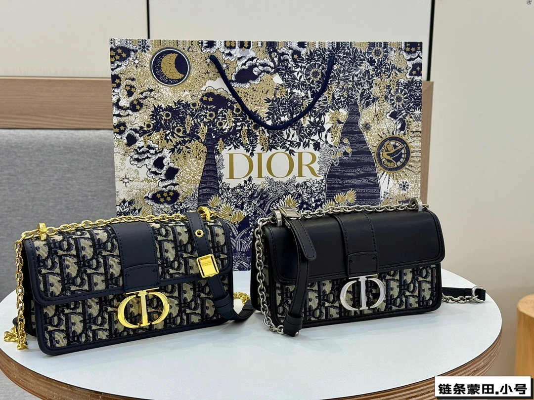 Dior Bag — d550bfa1