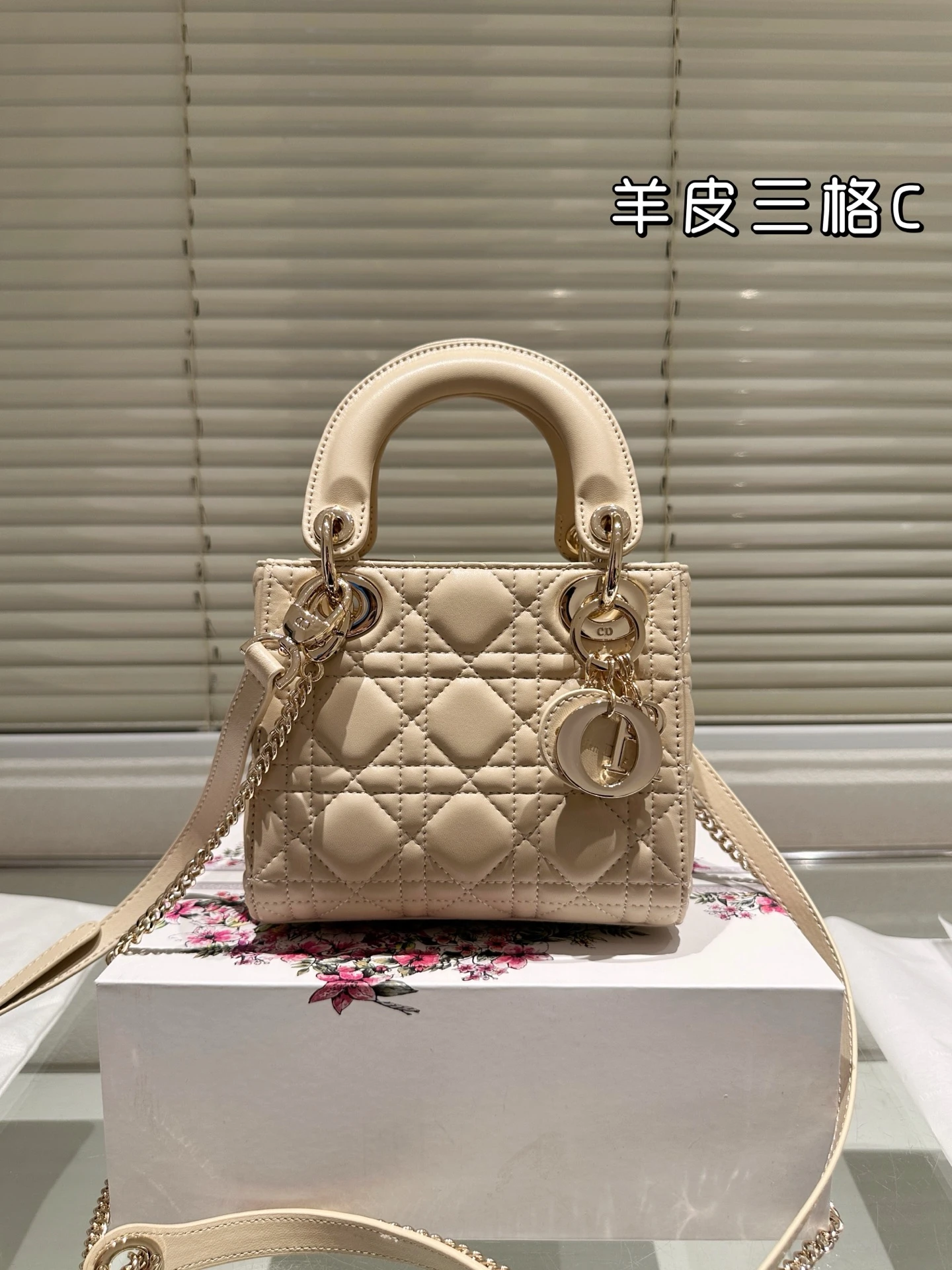 Dior Bag — 81e178fb