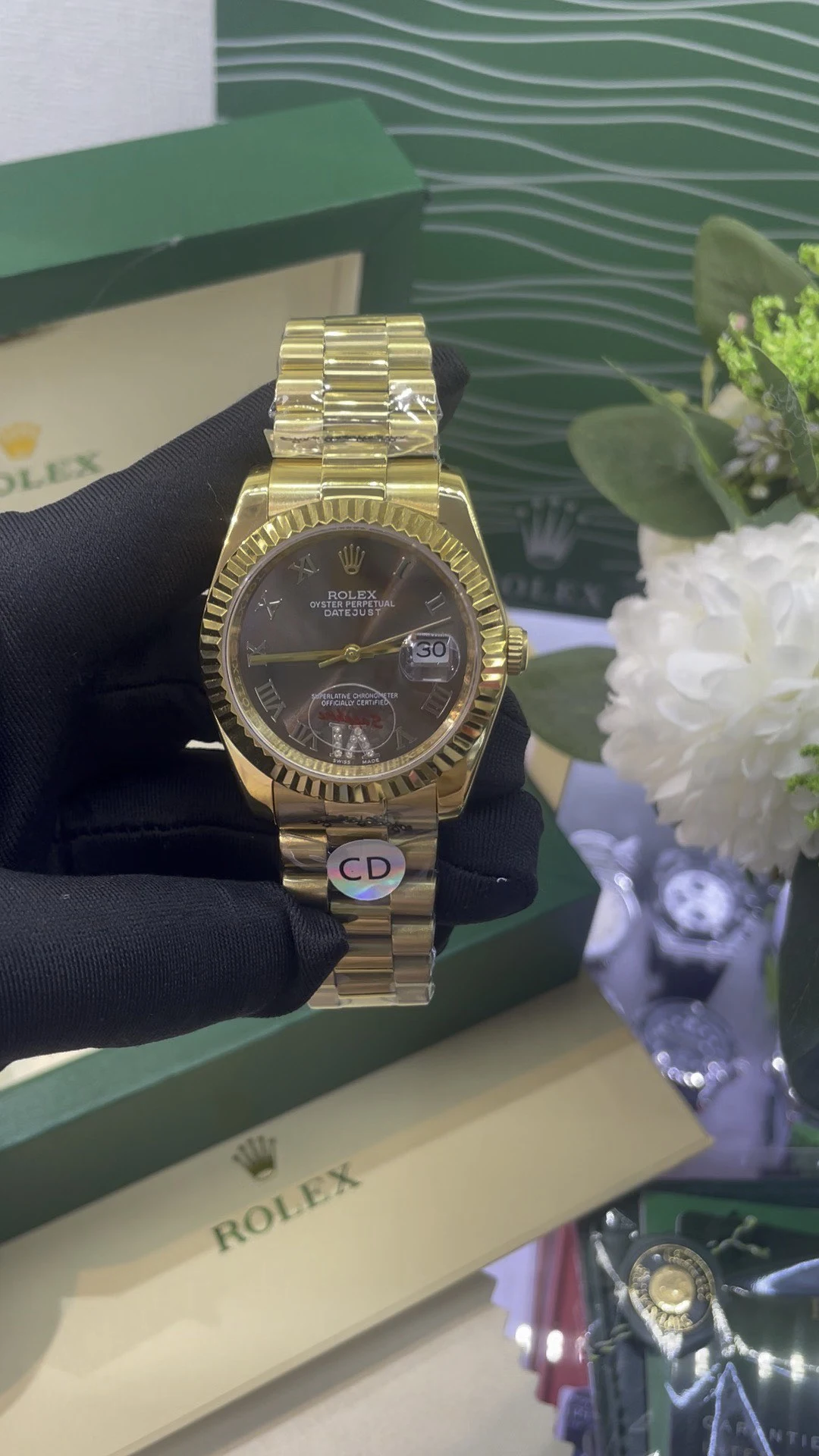 Rolex Watch — e9edb8d6