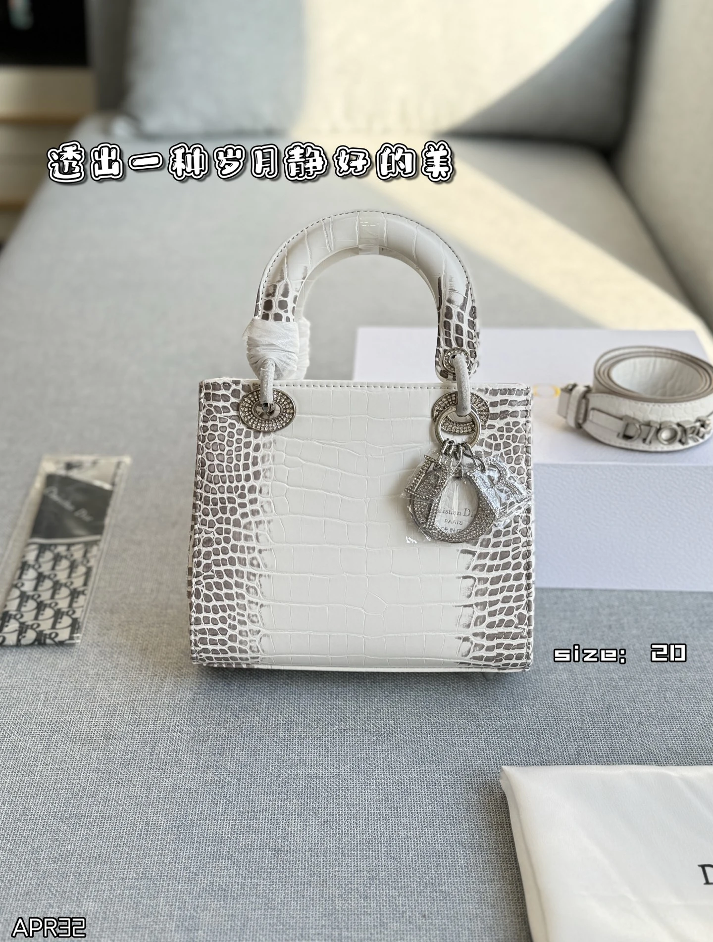 Dior Bag — fc4594e3