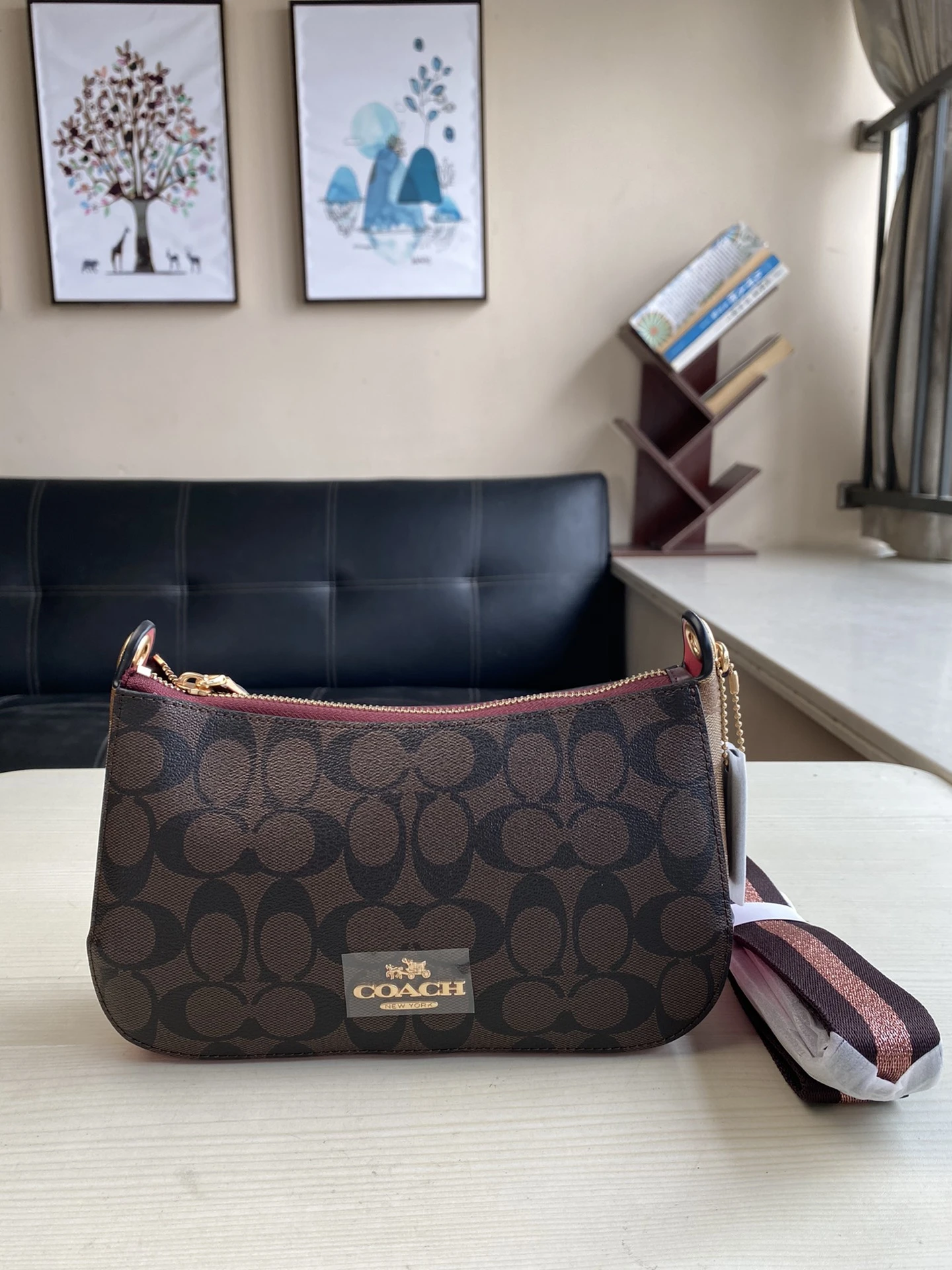 Coach Bag — 6f1d0ca4