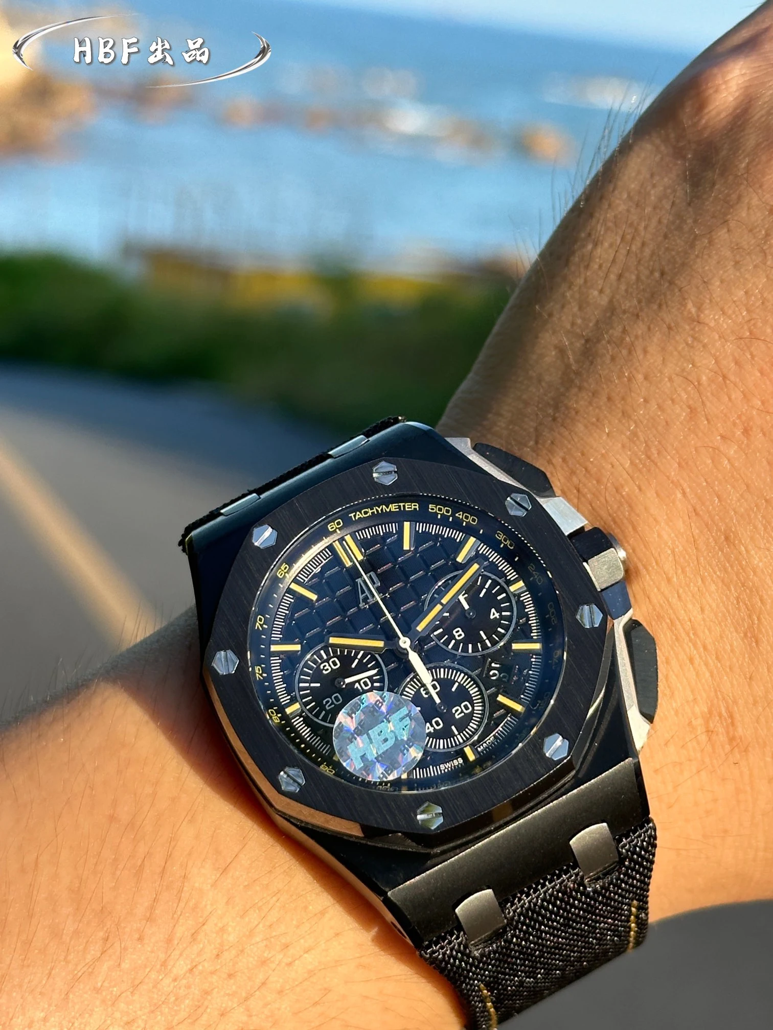 Audemars Piguet Watch — 313f111c