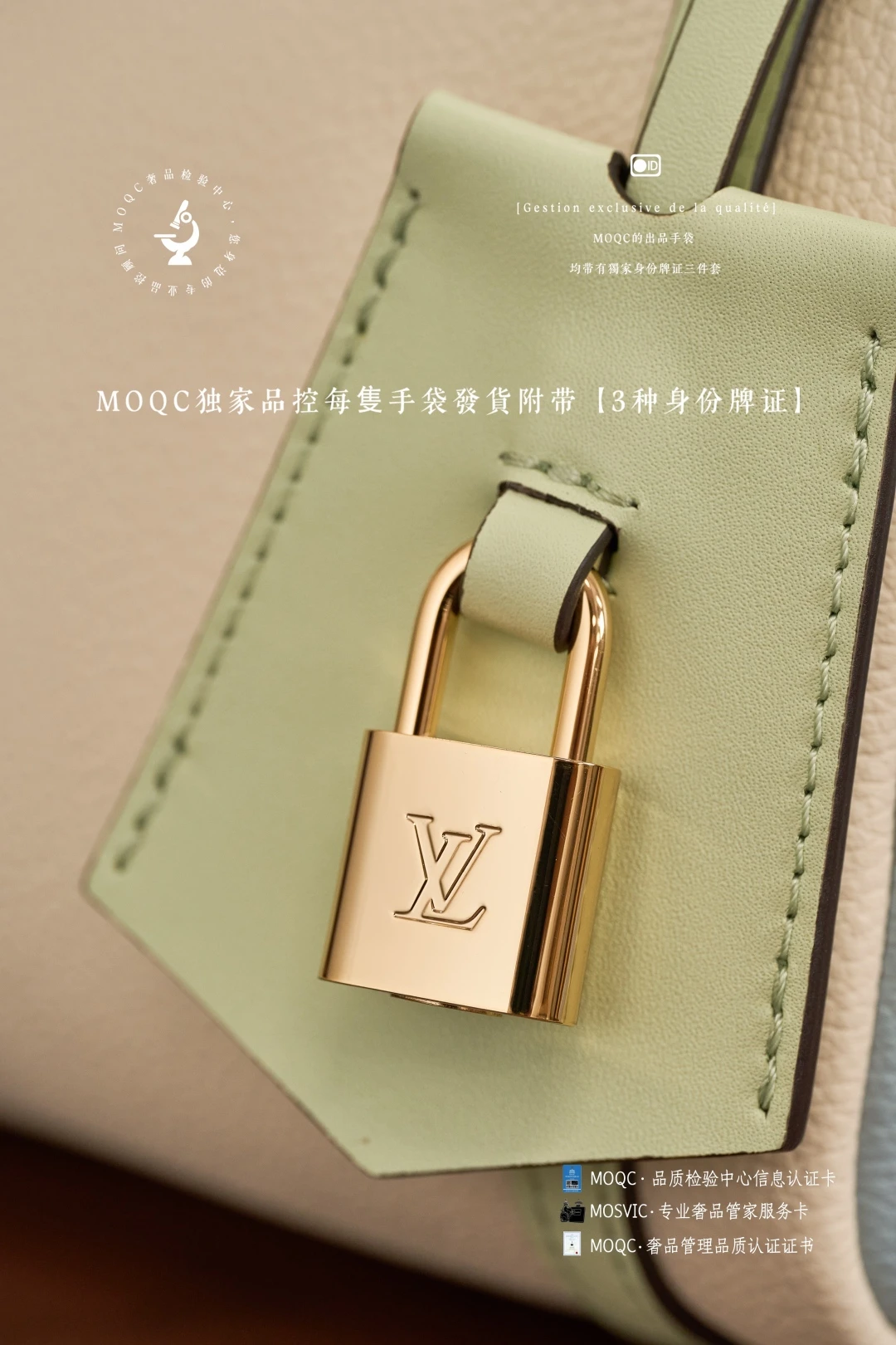 Louis Vuitton Bag — 6260b257