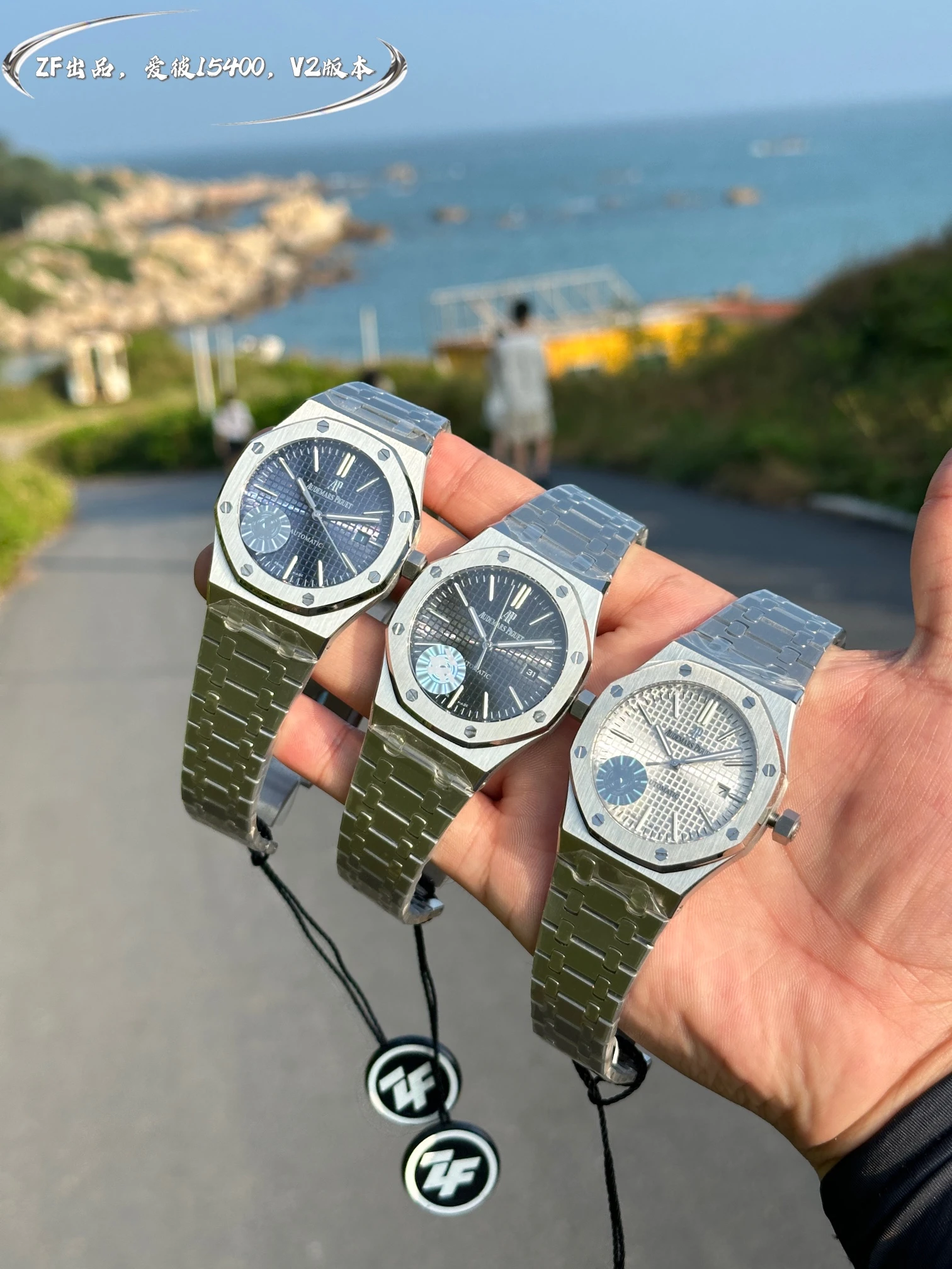 Audemars Piguet Watch — 77b6aca8