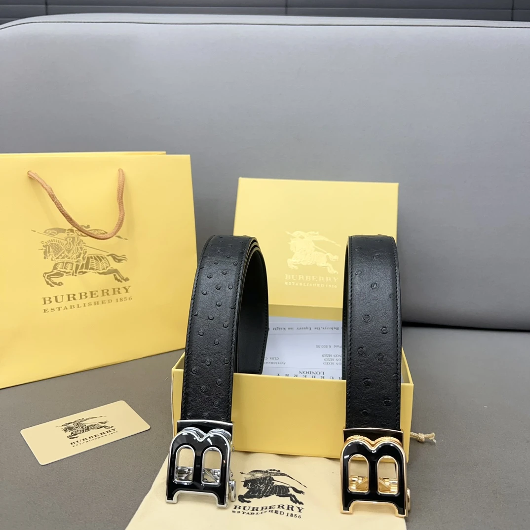 Burberry Bag — 1c25c5da