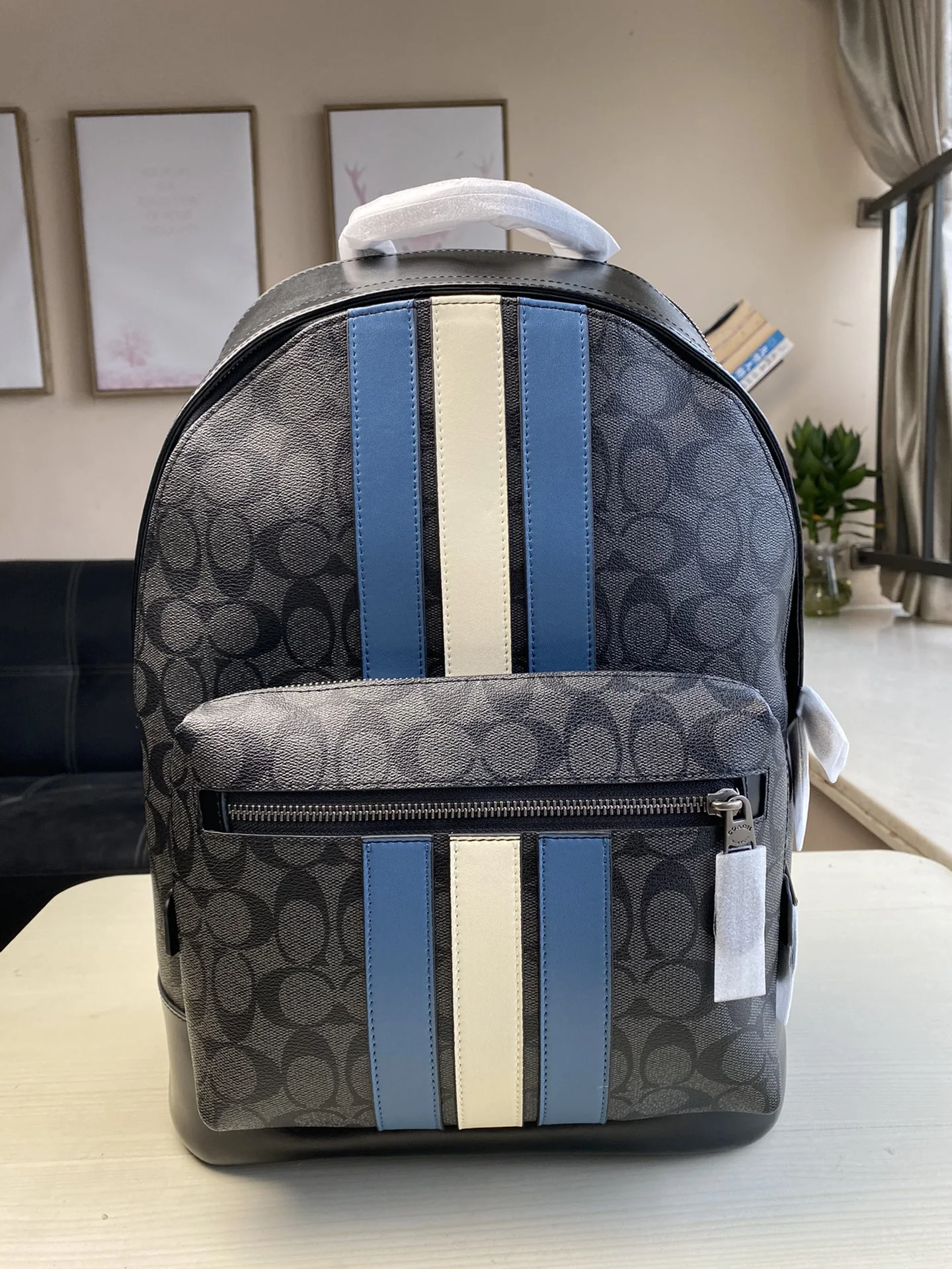 Coach Bag — b121af78