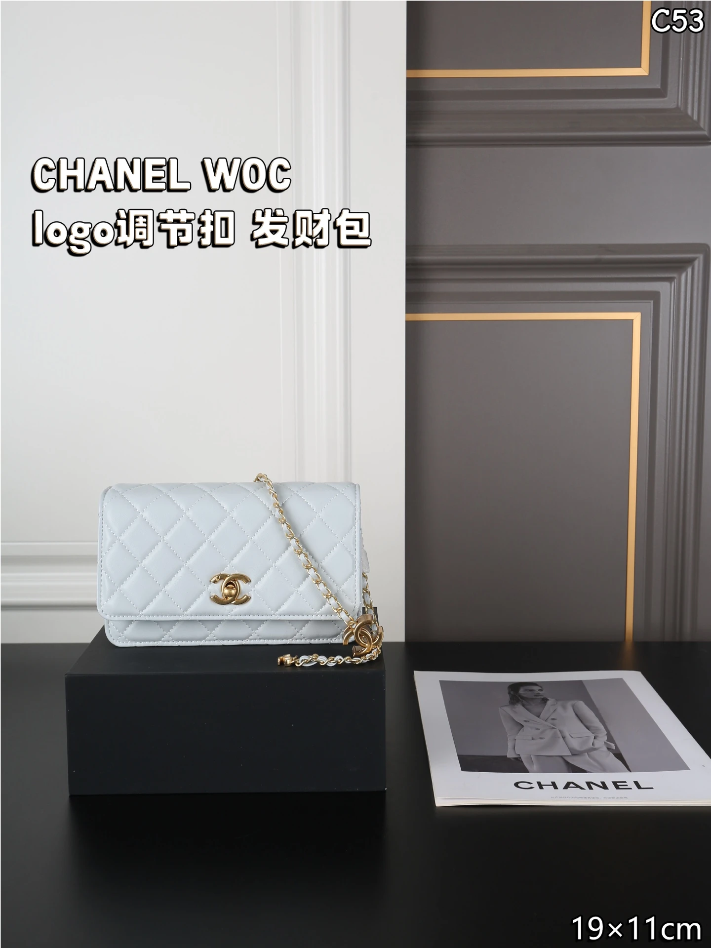 Chanel Bag — 556e1e7a