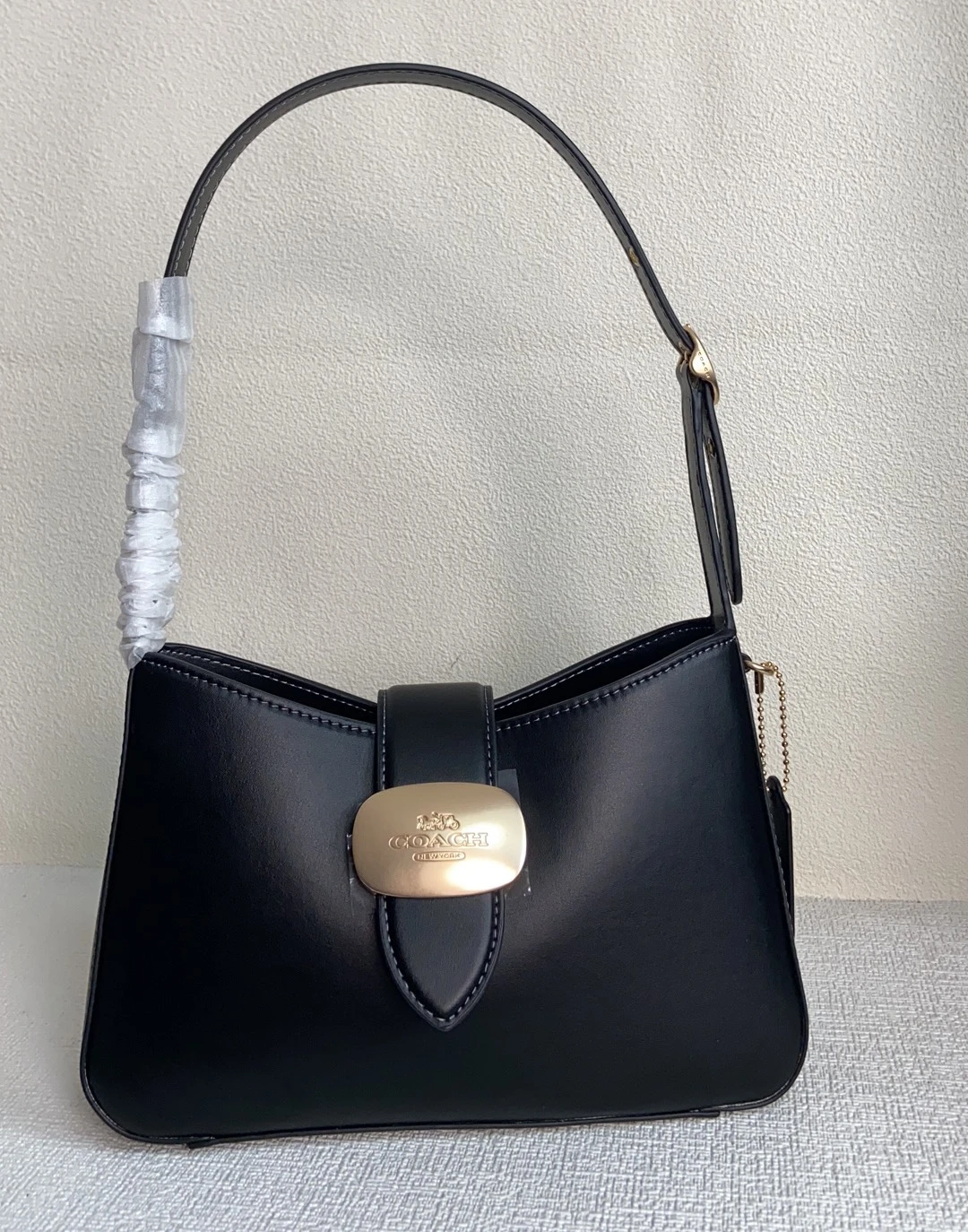 Coach Bag — c02dd526