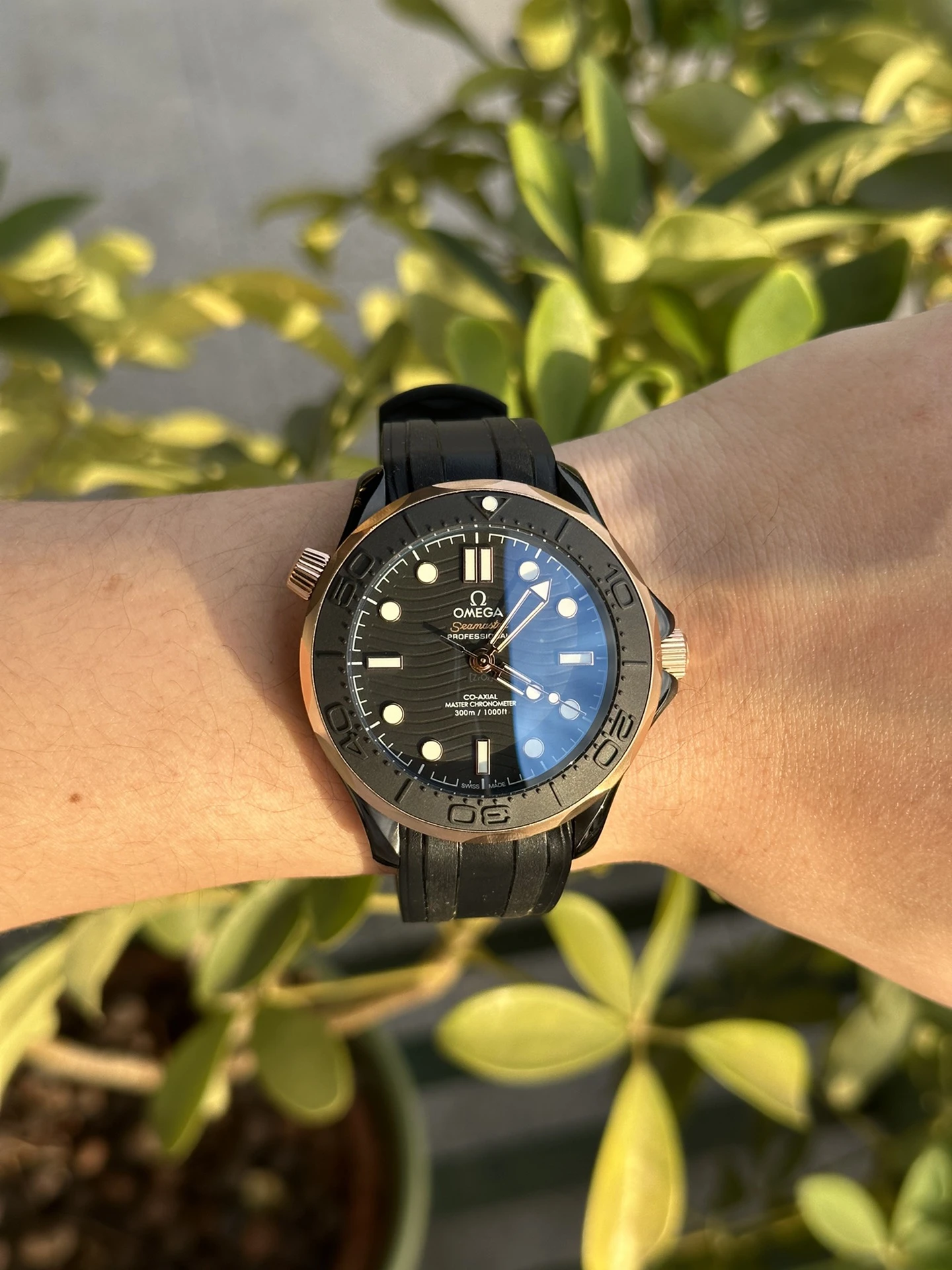 Omega Watch — 3c067b49