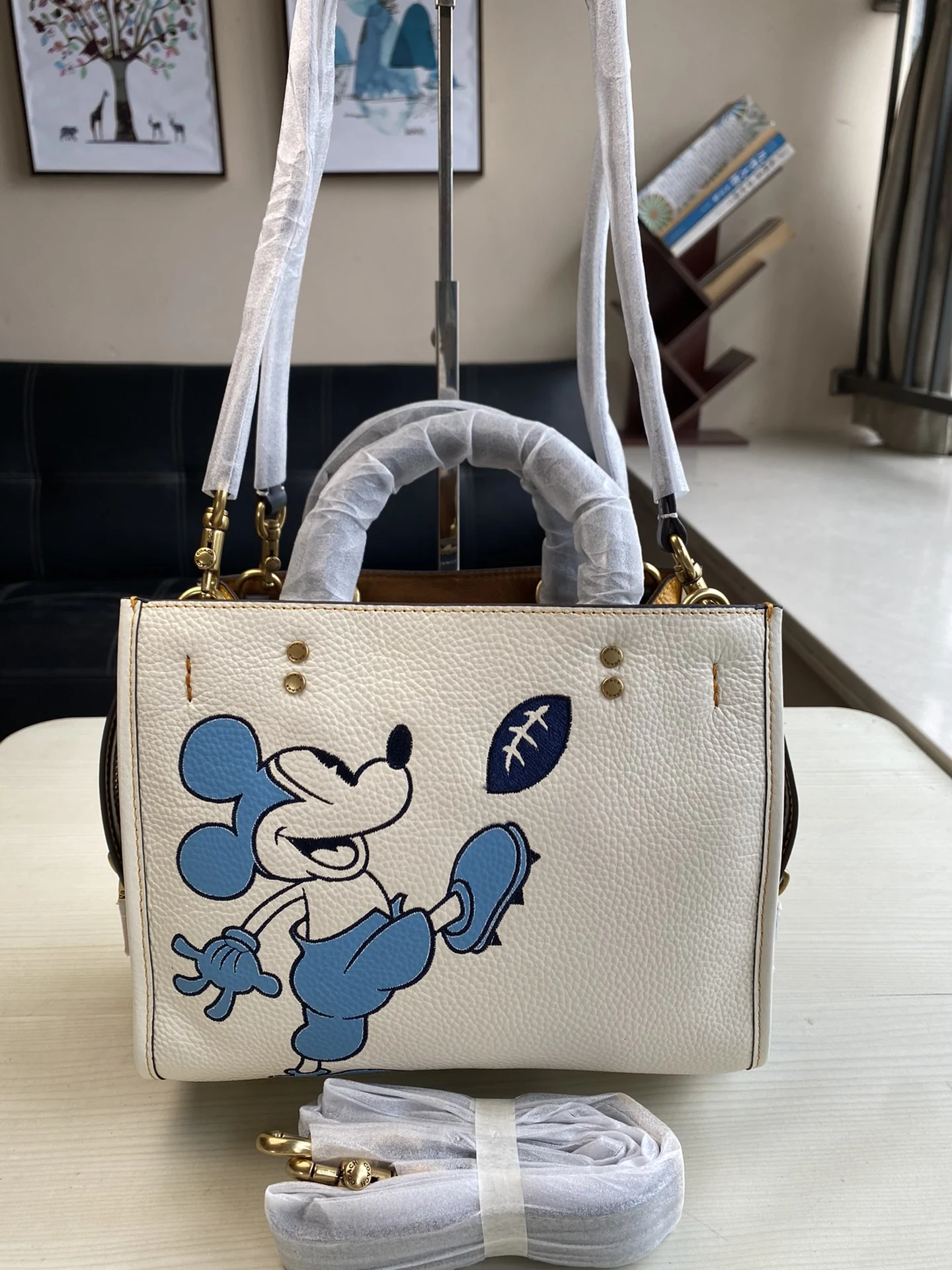 Coach Bag — fe08b01b
