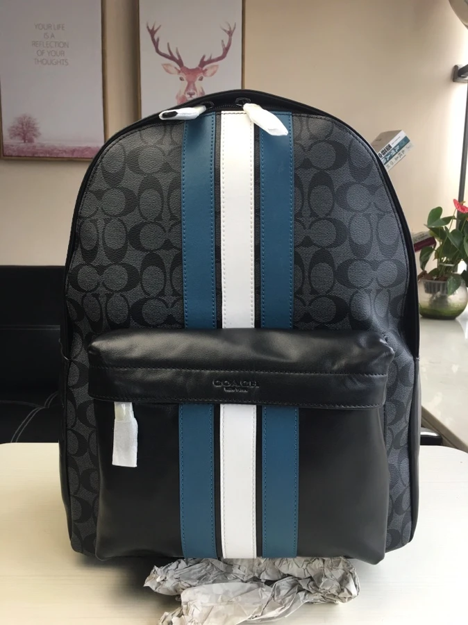 Coach Bag — c519749a