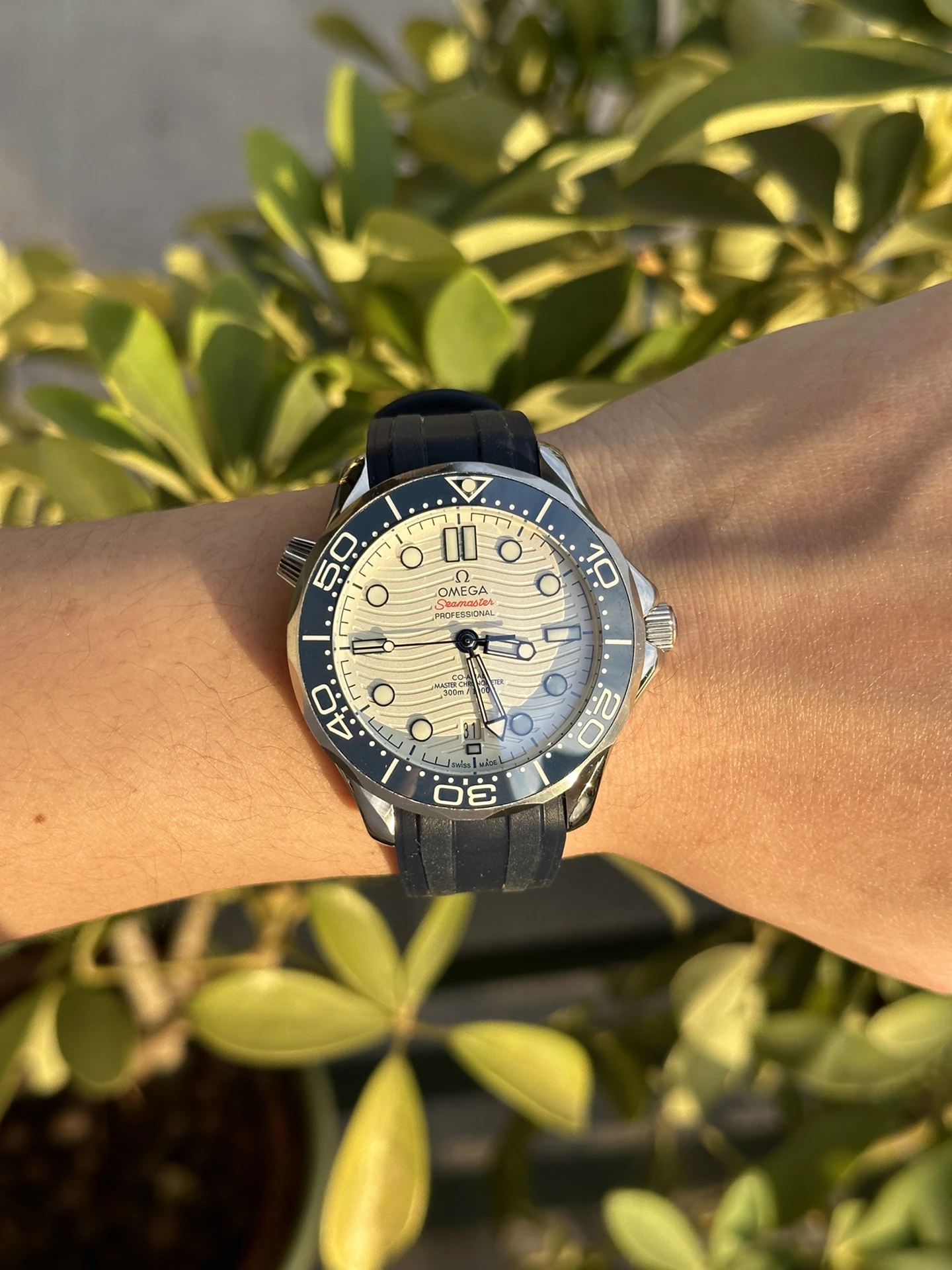 Omega Watch — bcd9b708