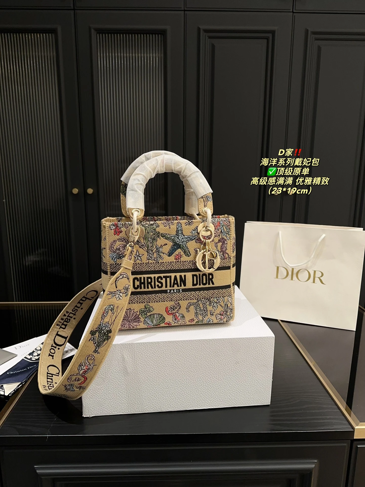 Dior Bag — 42b85970