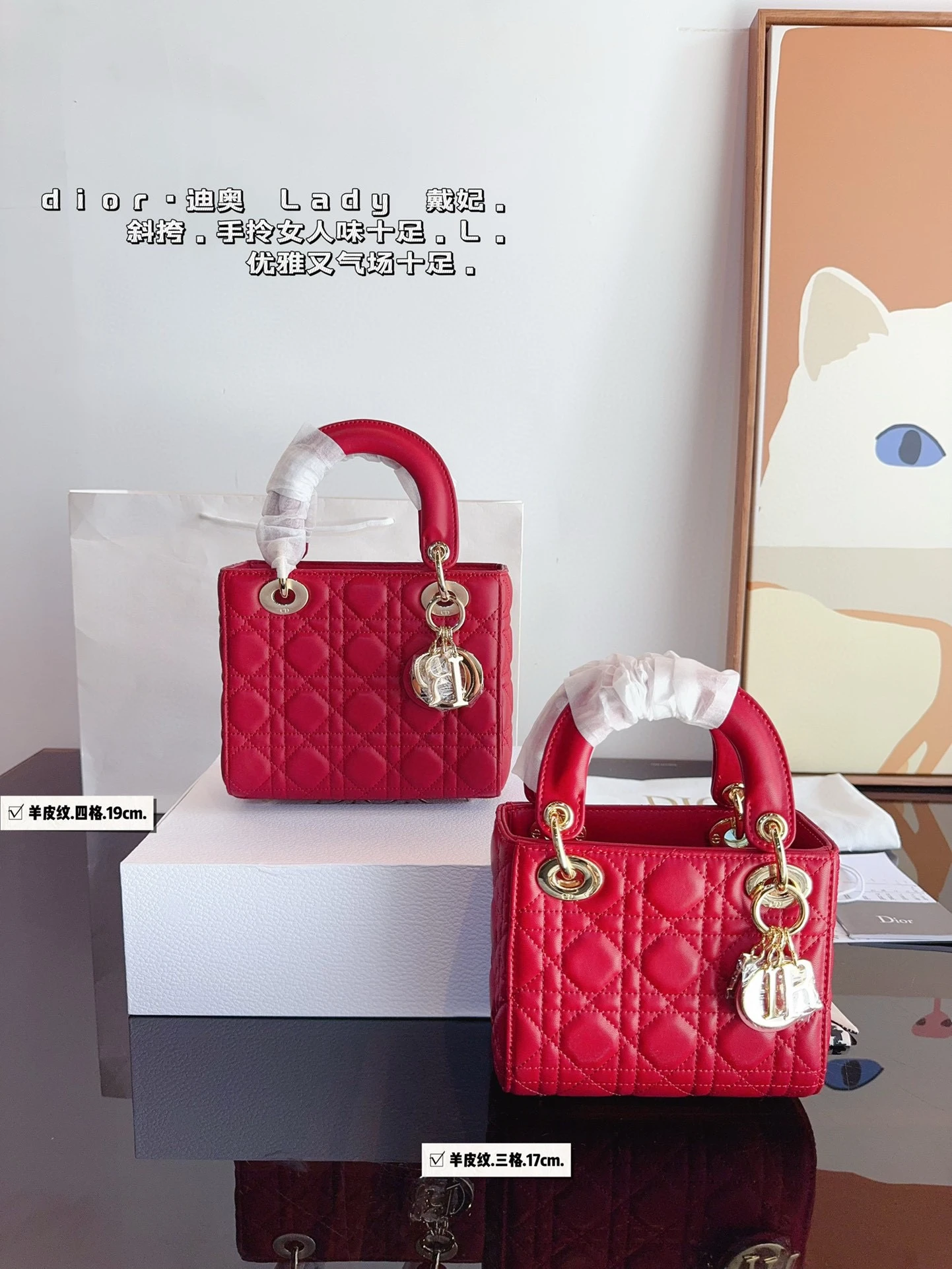 Dior Bag — ff9e0fb5