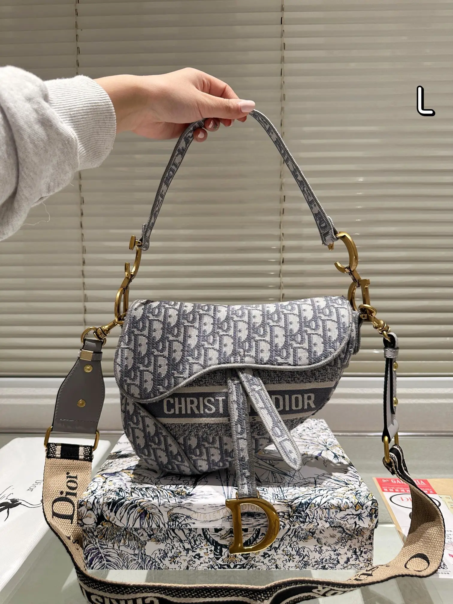 Dior Bag — b5e83815