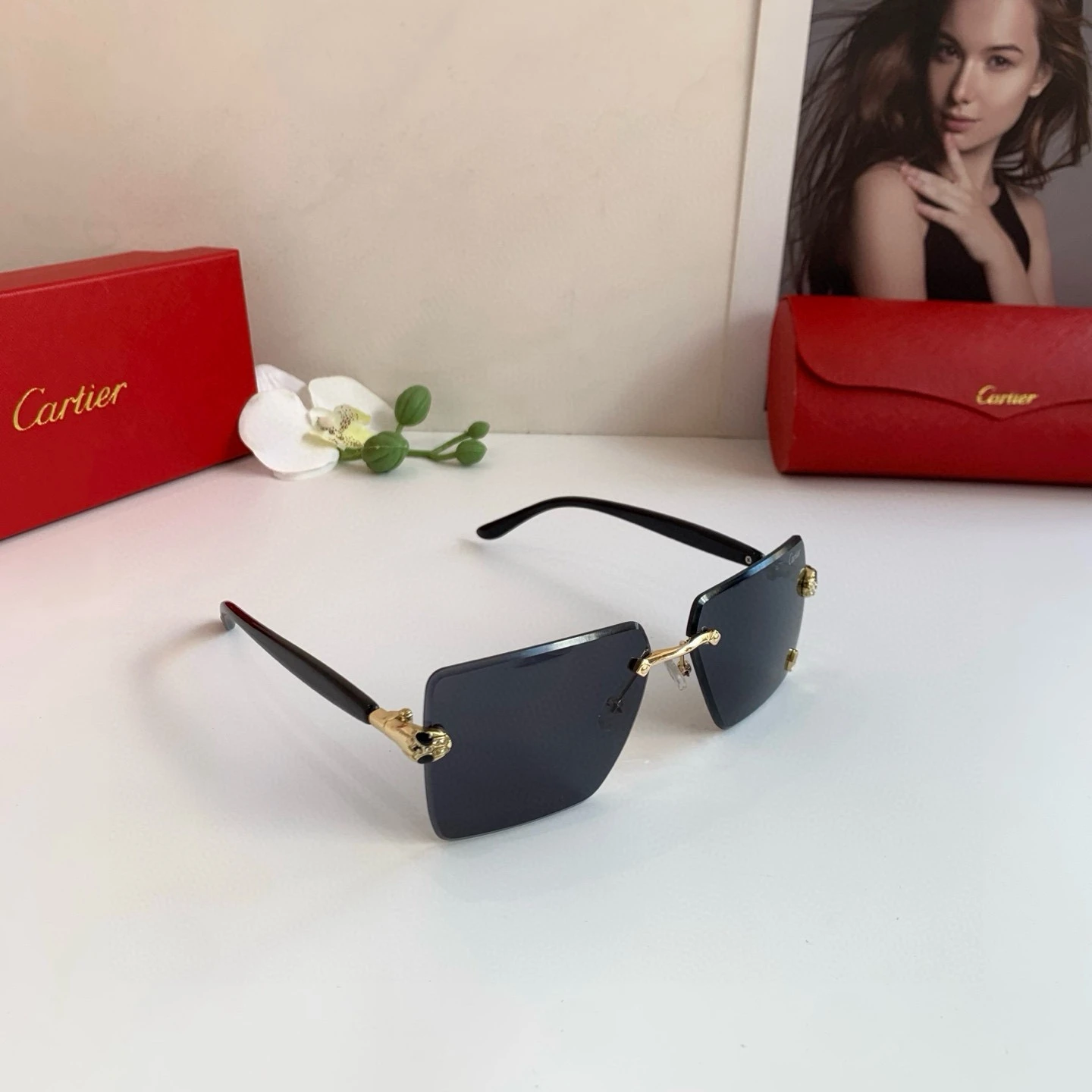Cartier Eyewear — fac8bc11