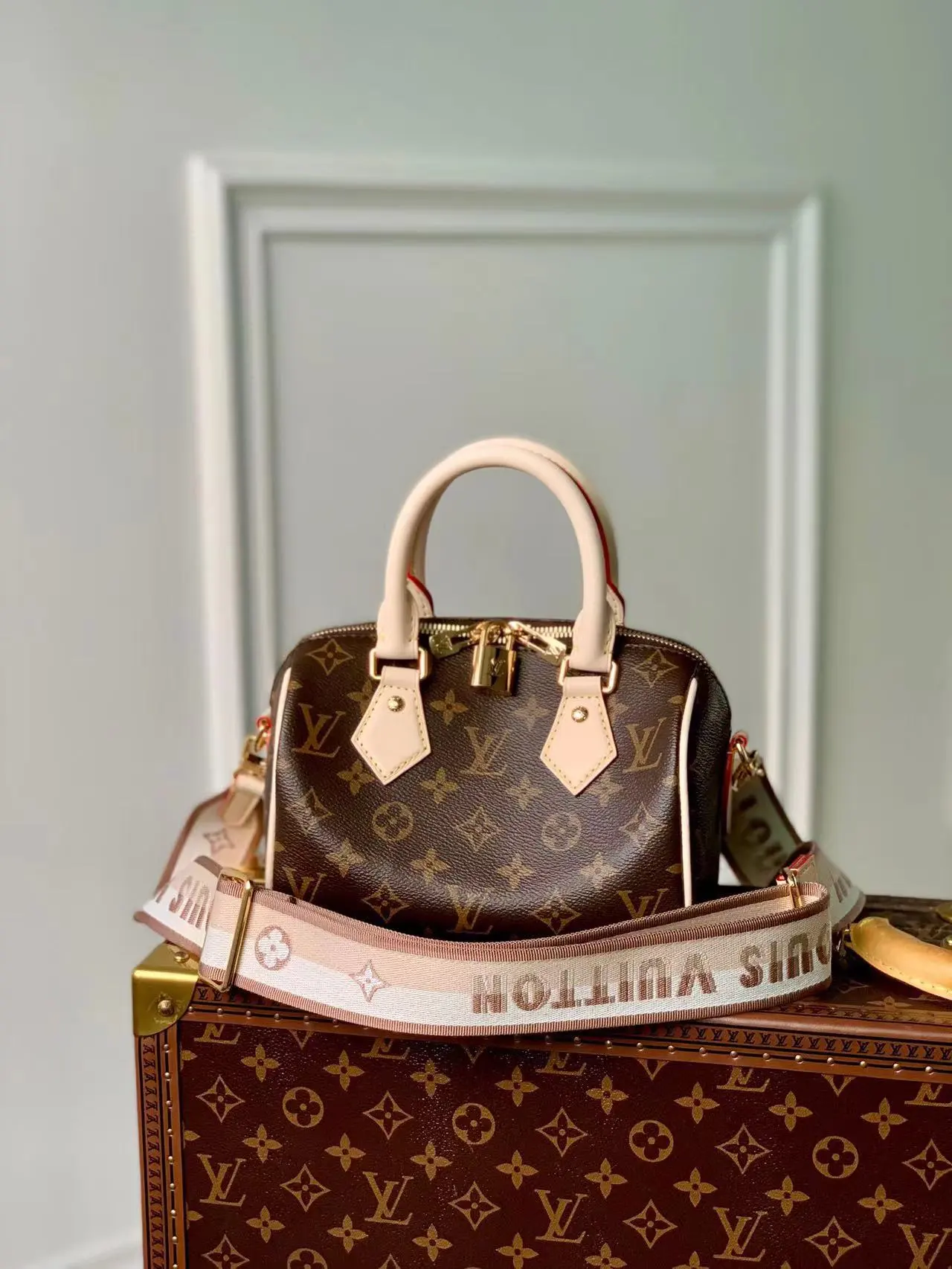 Louis Vuitton Bag — 5bf65193