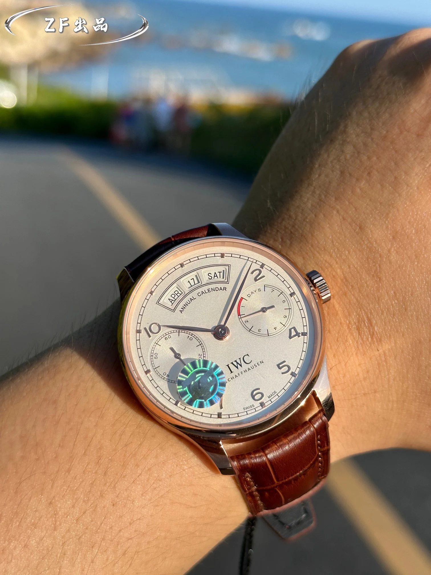IWC Watch — 793c1817