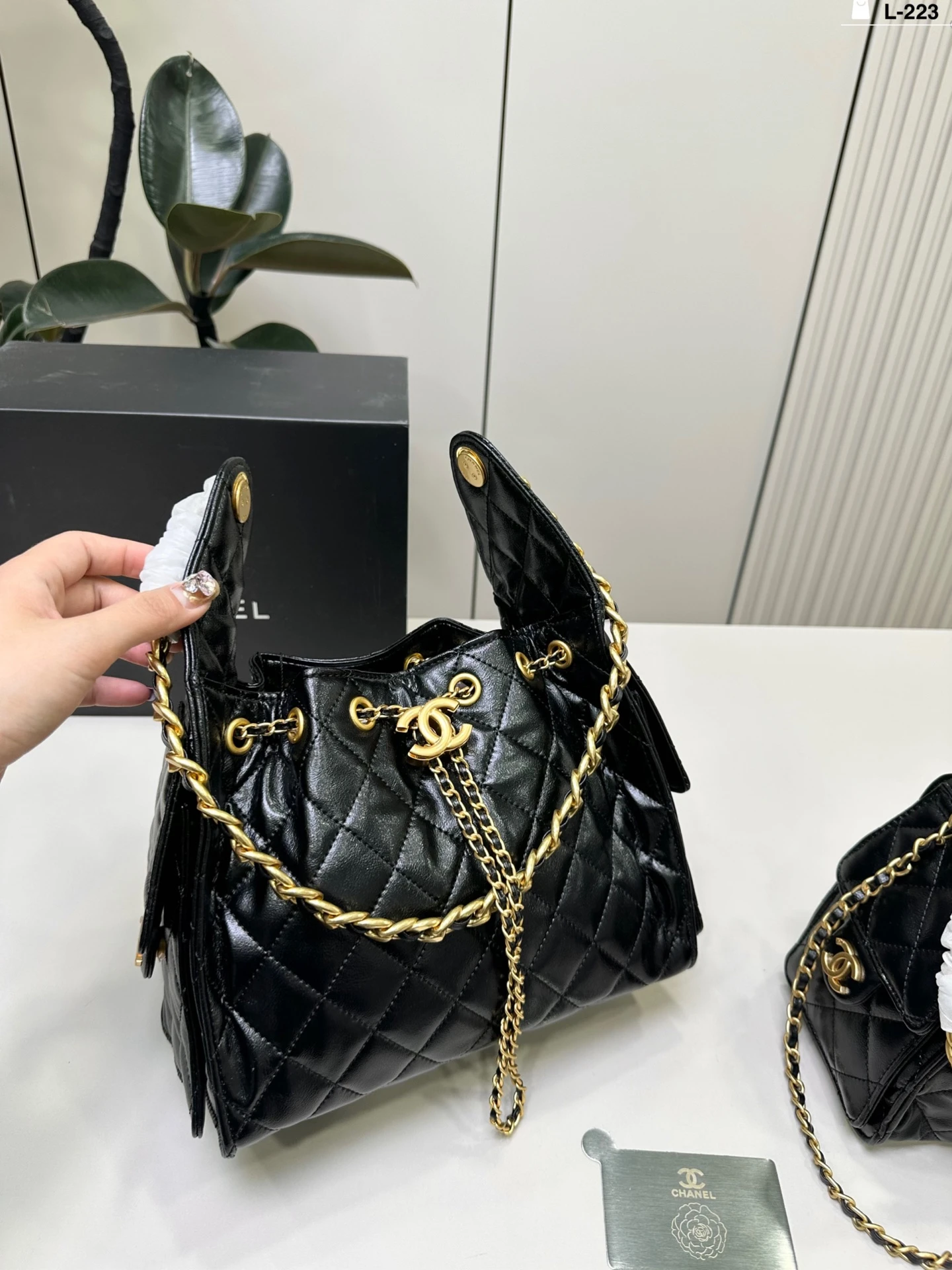 Chanel Bag — 8d0a7066