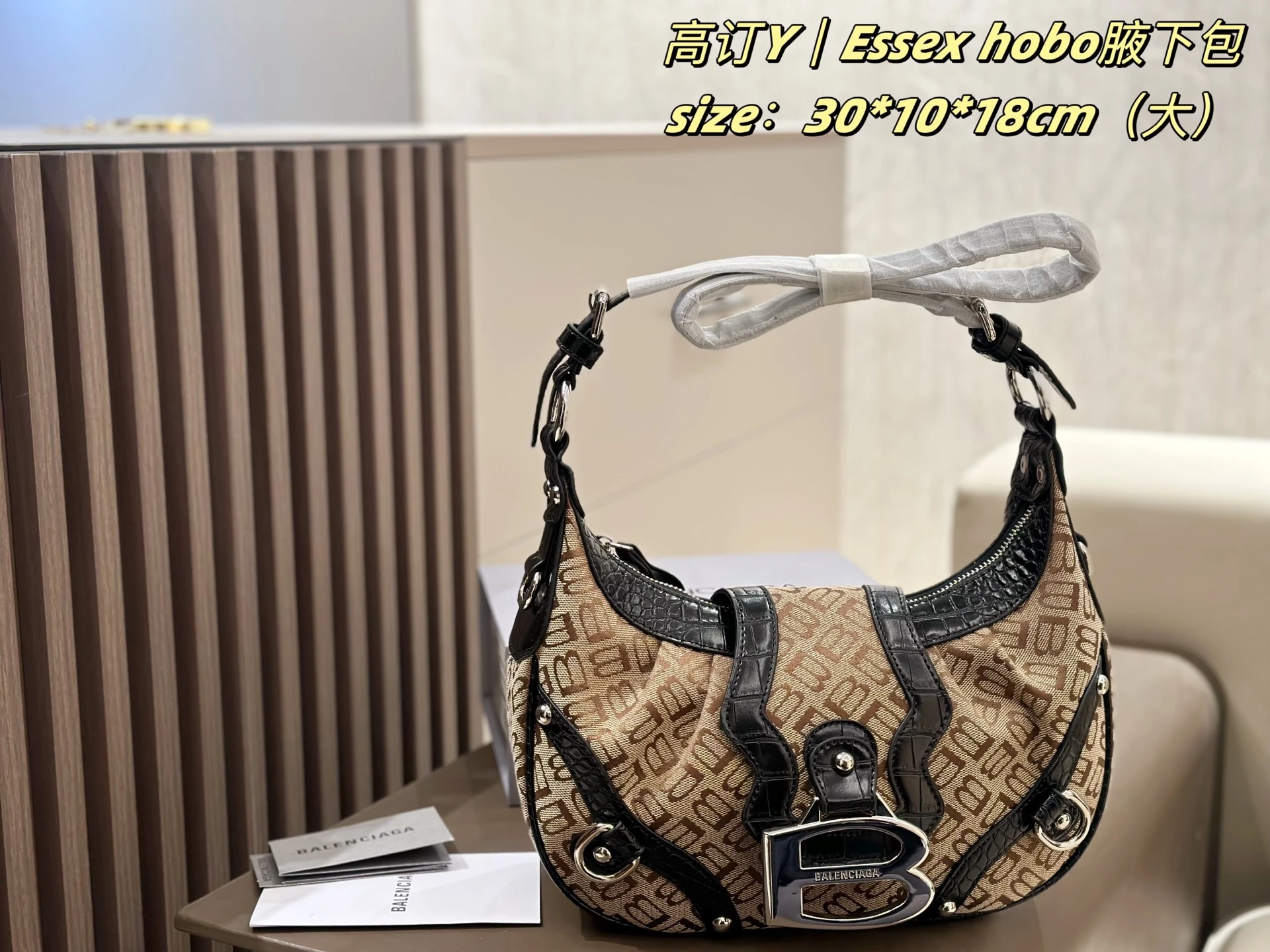 Balenciaga Bag — e064597d