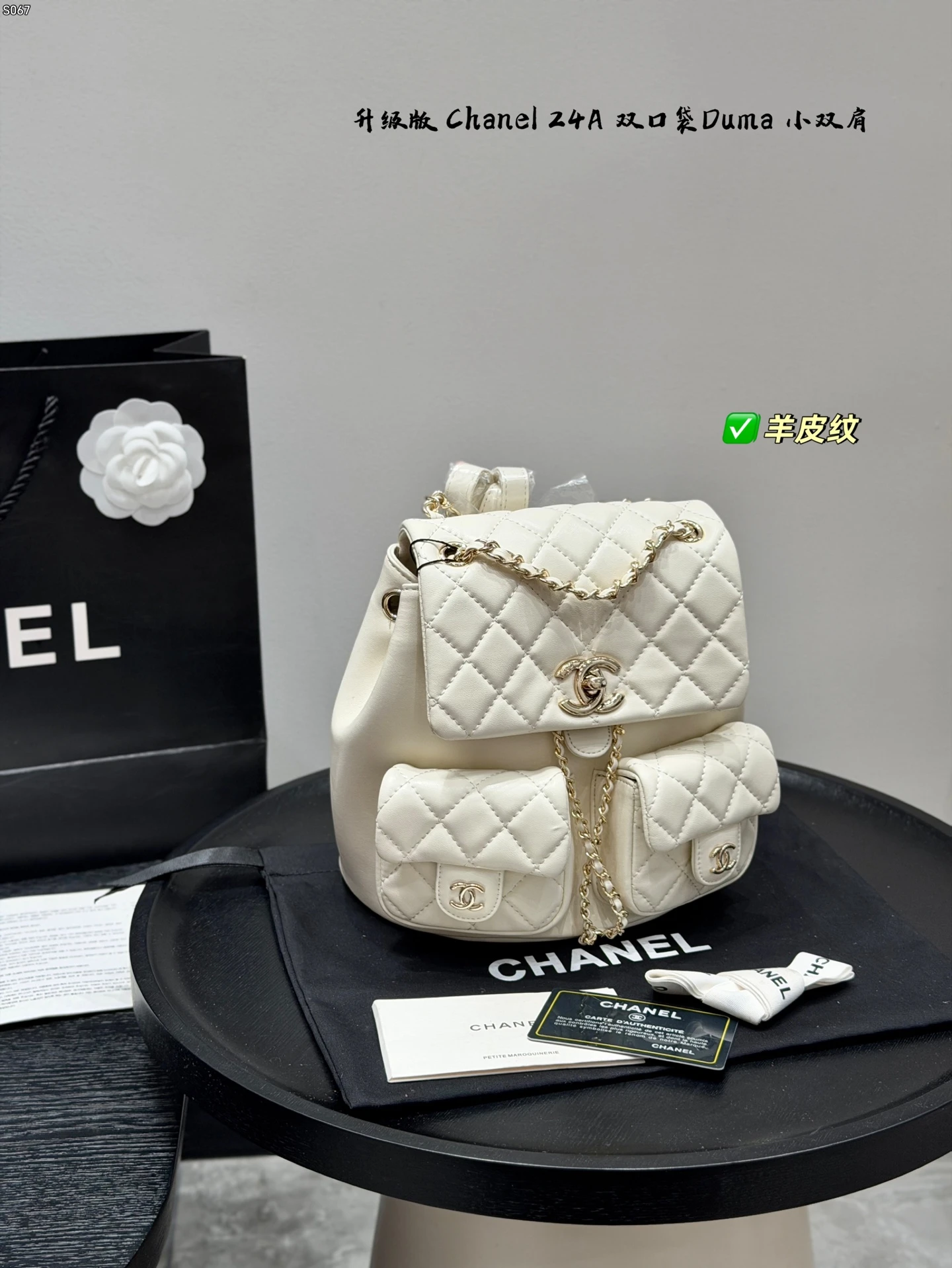 Chanel Bag — 61ee3766
