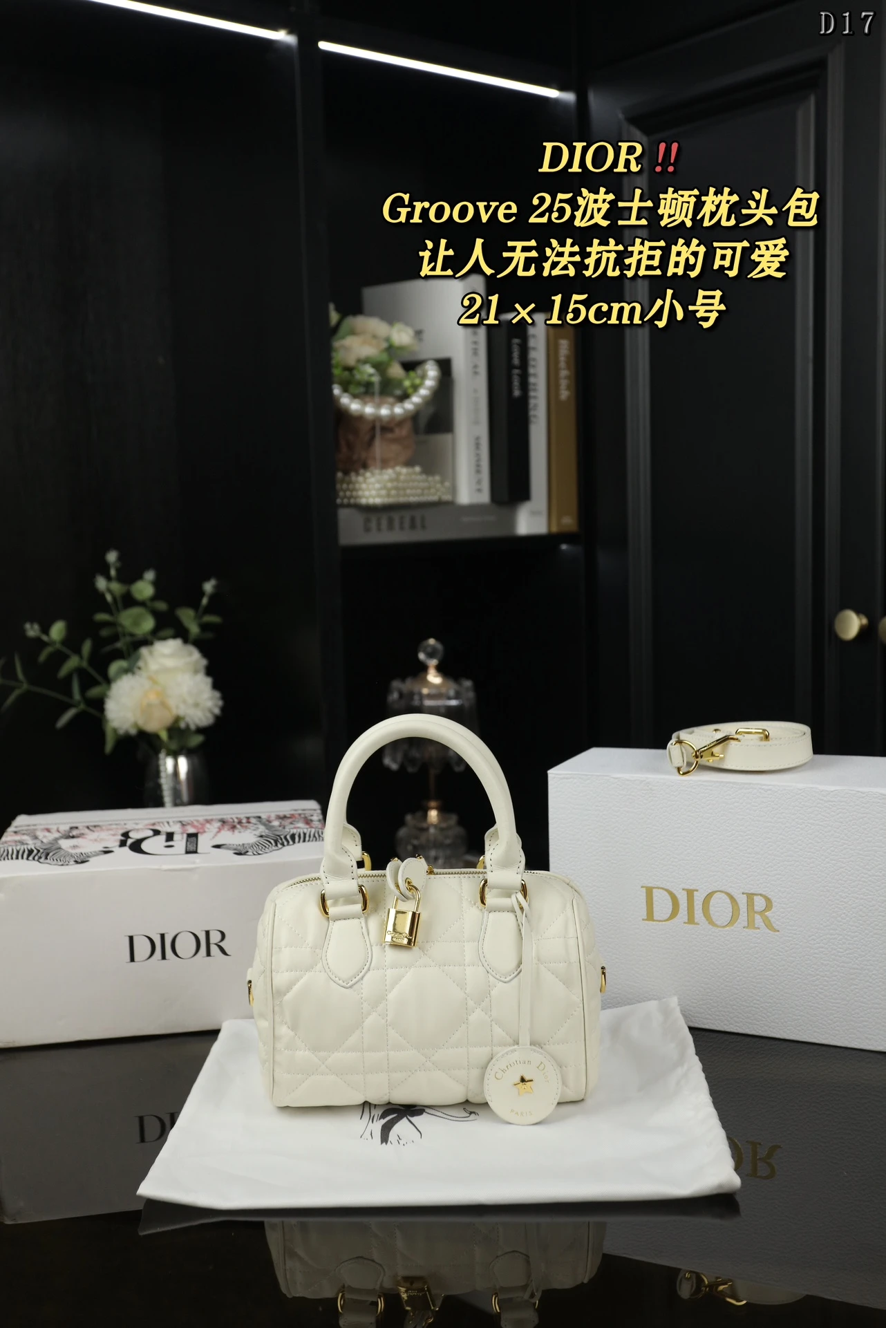 Dior Bag — e92260aa