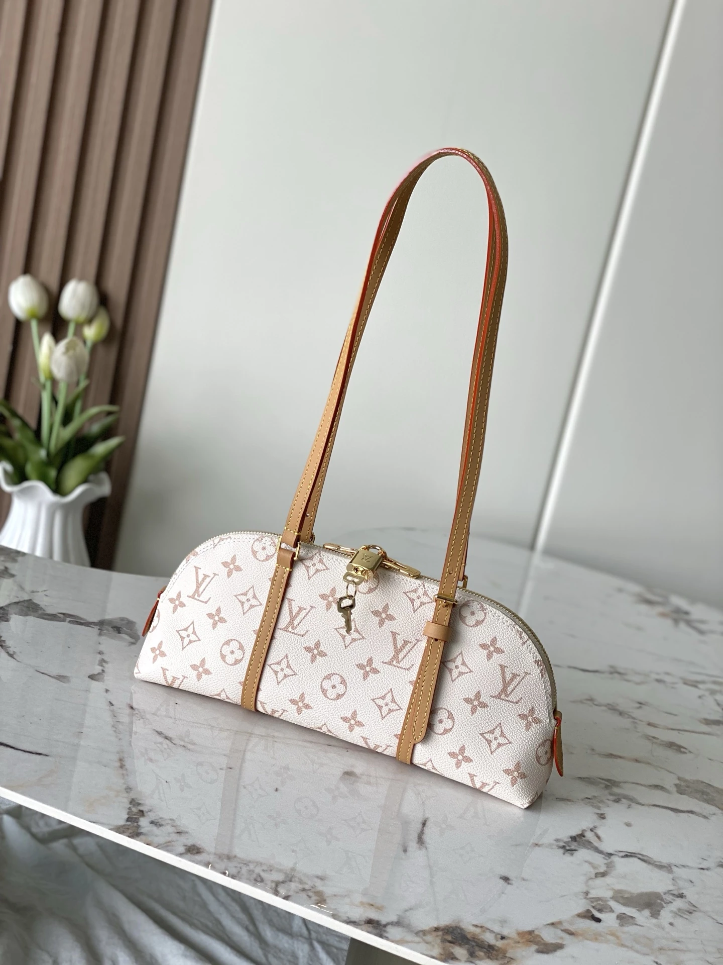 Louis Vuitton Bag — e521d22f