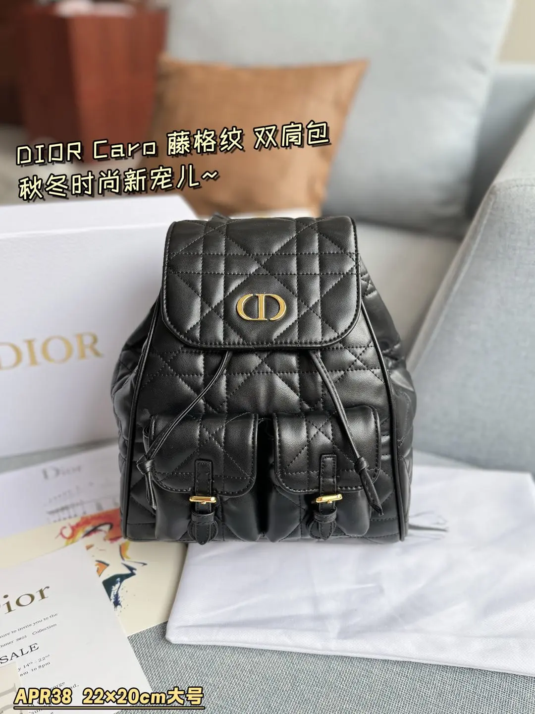 Dior Bag — c9847ea0