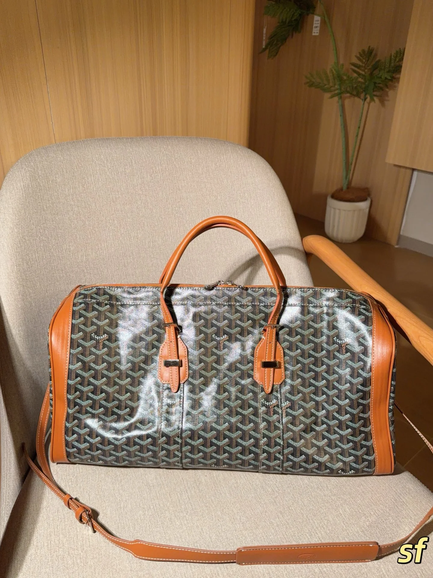 Goyard Bag — f0612350